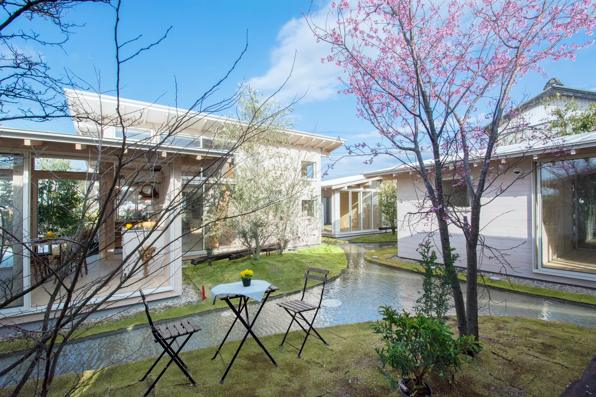 A modern courtyard garden features a winding water channel between light-wood structures, with a small bistro set on a mossy lawn under blooming pink trees.