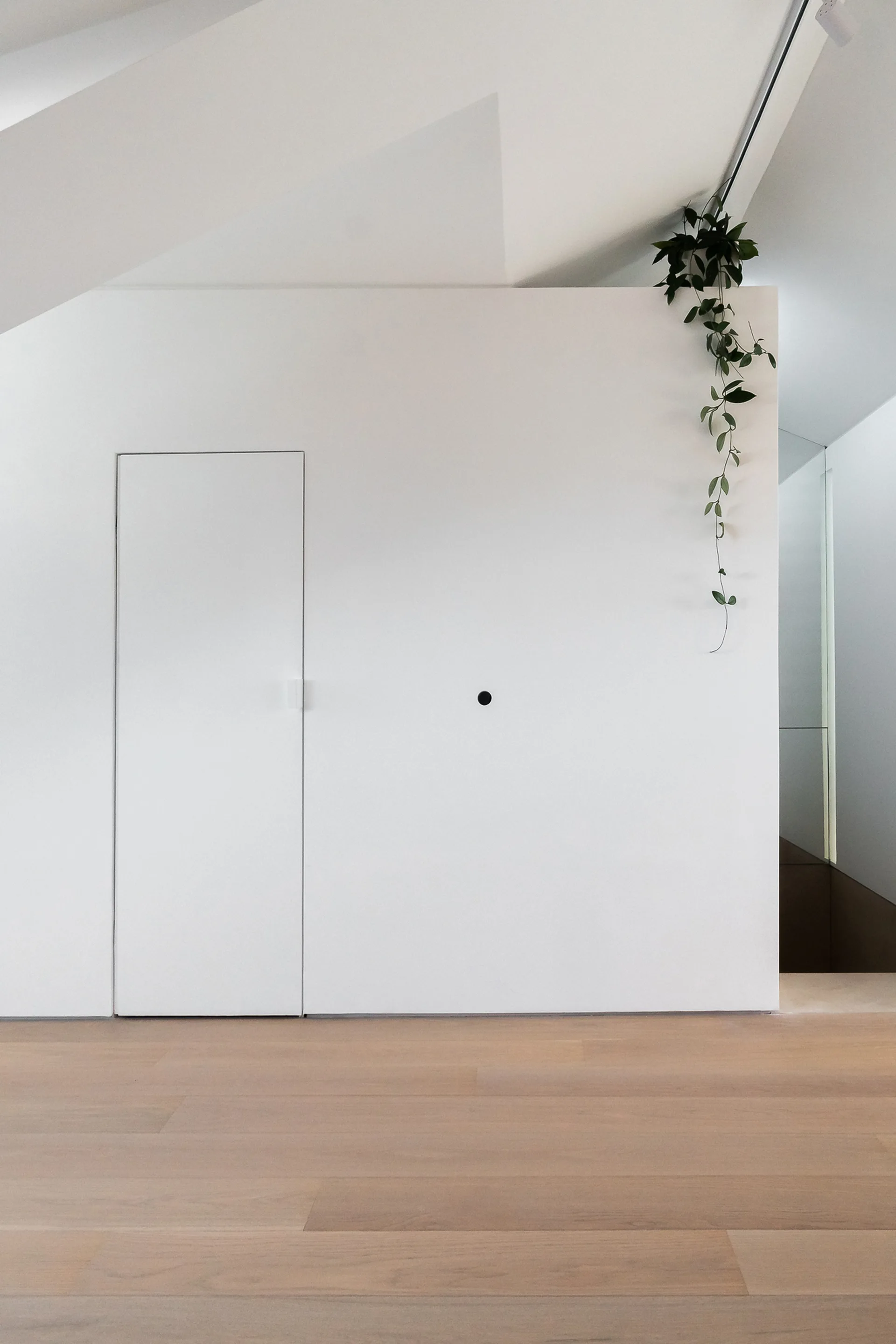 A minimalist white hallway features a seamless flush-mounted door, light wood plank floors, and a single trailing green plant draped over the wall.