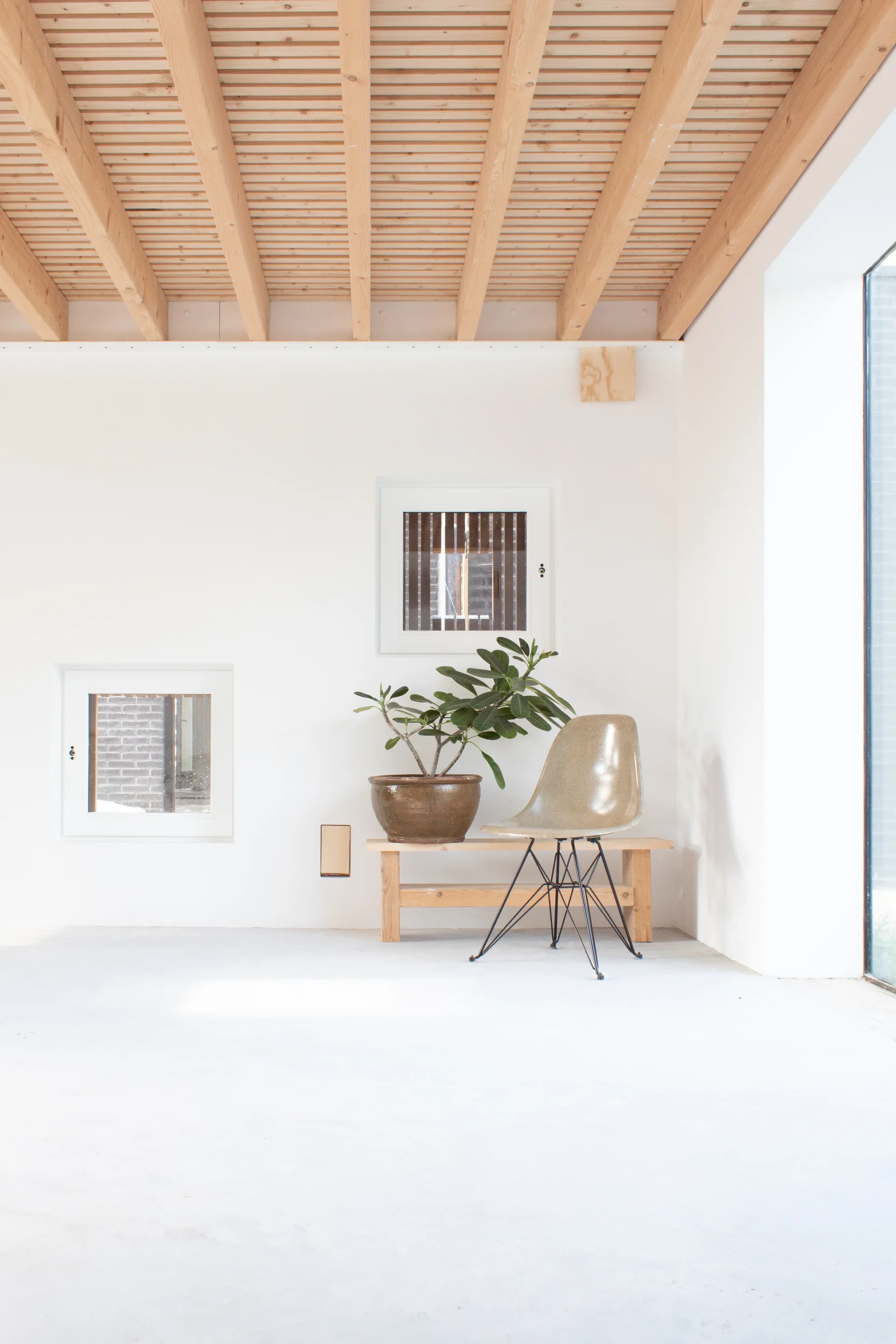A minimalist white room featuring a slatted light wood ceiling, two square windows, and a molded chair next to a potted plant on a bench.