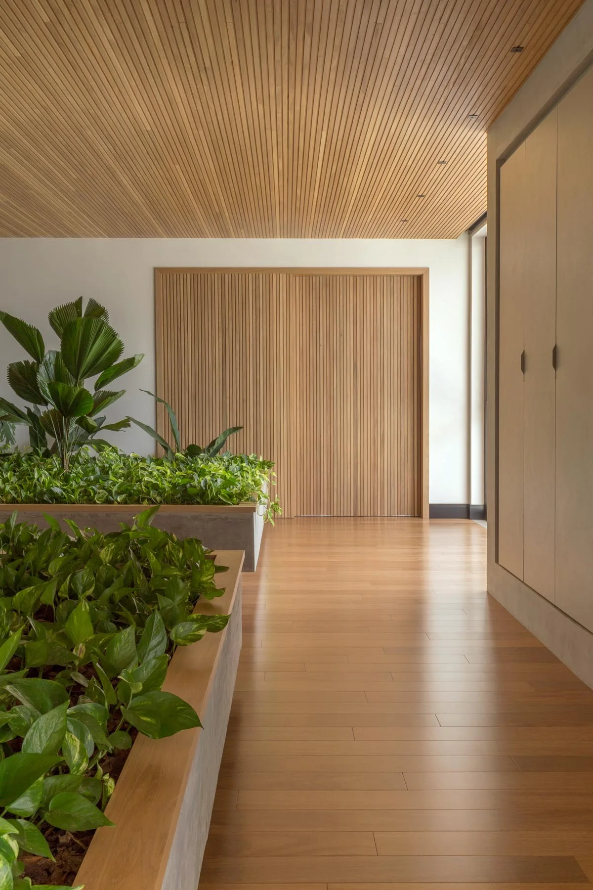 A minimalist hallway featuring a slatted wood ceiling, matching wood floors, and long concrete planters filled with lush green plants.