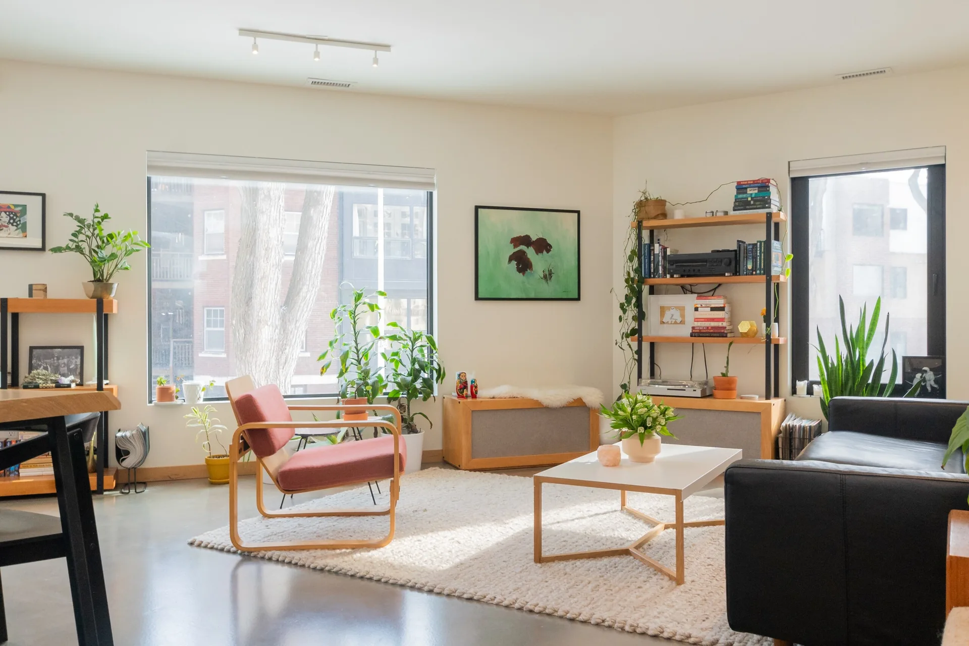 A bright living room featuring a red lounge chair, black leather sofa, cream shag rug, and large windows on a polished concrete floor.