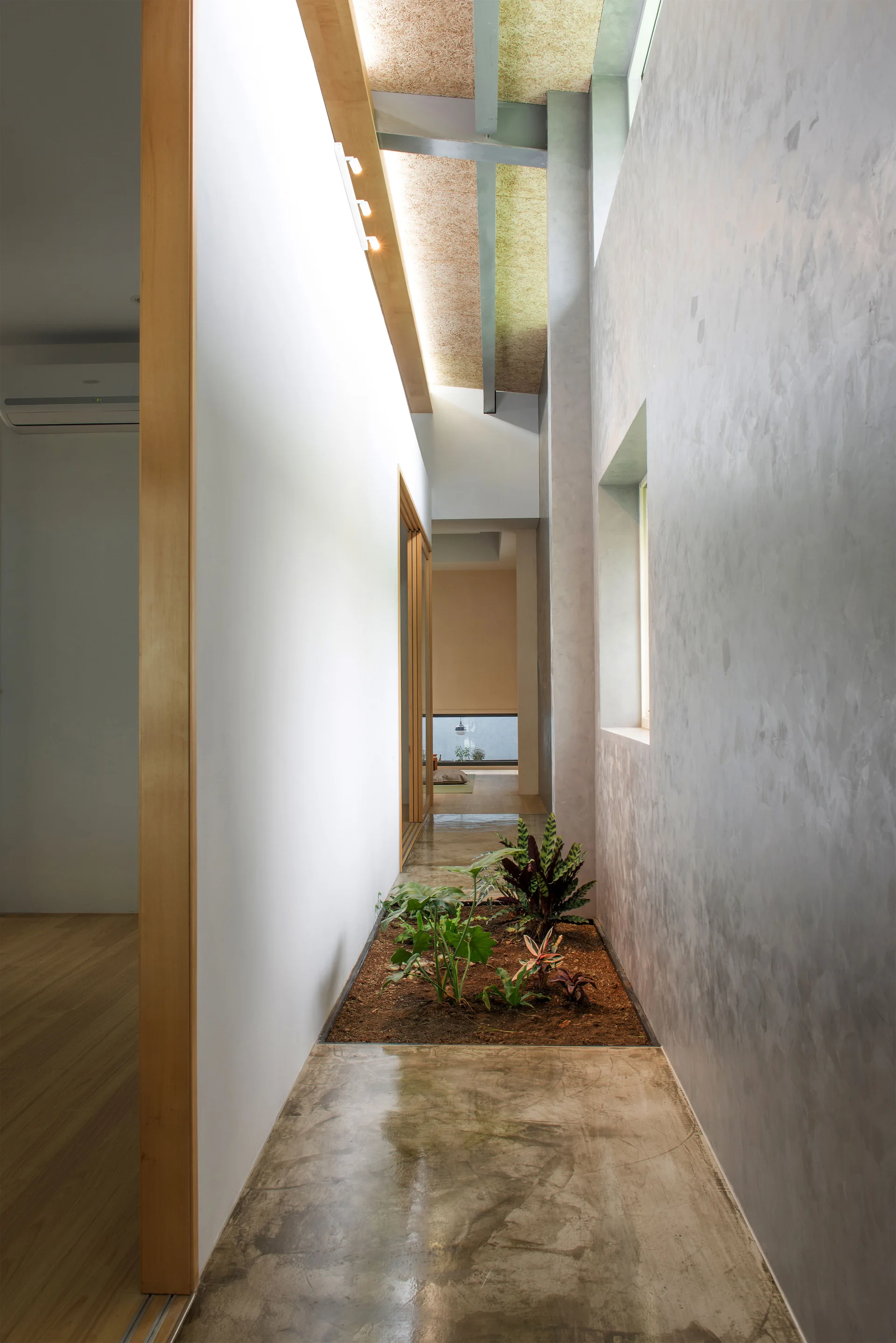 A polished concrete hallway features a flush floor-level planter filled with leafy green plants under a bright skylight.