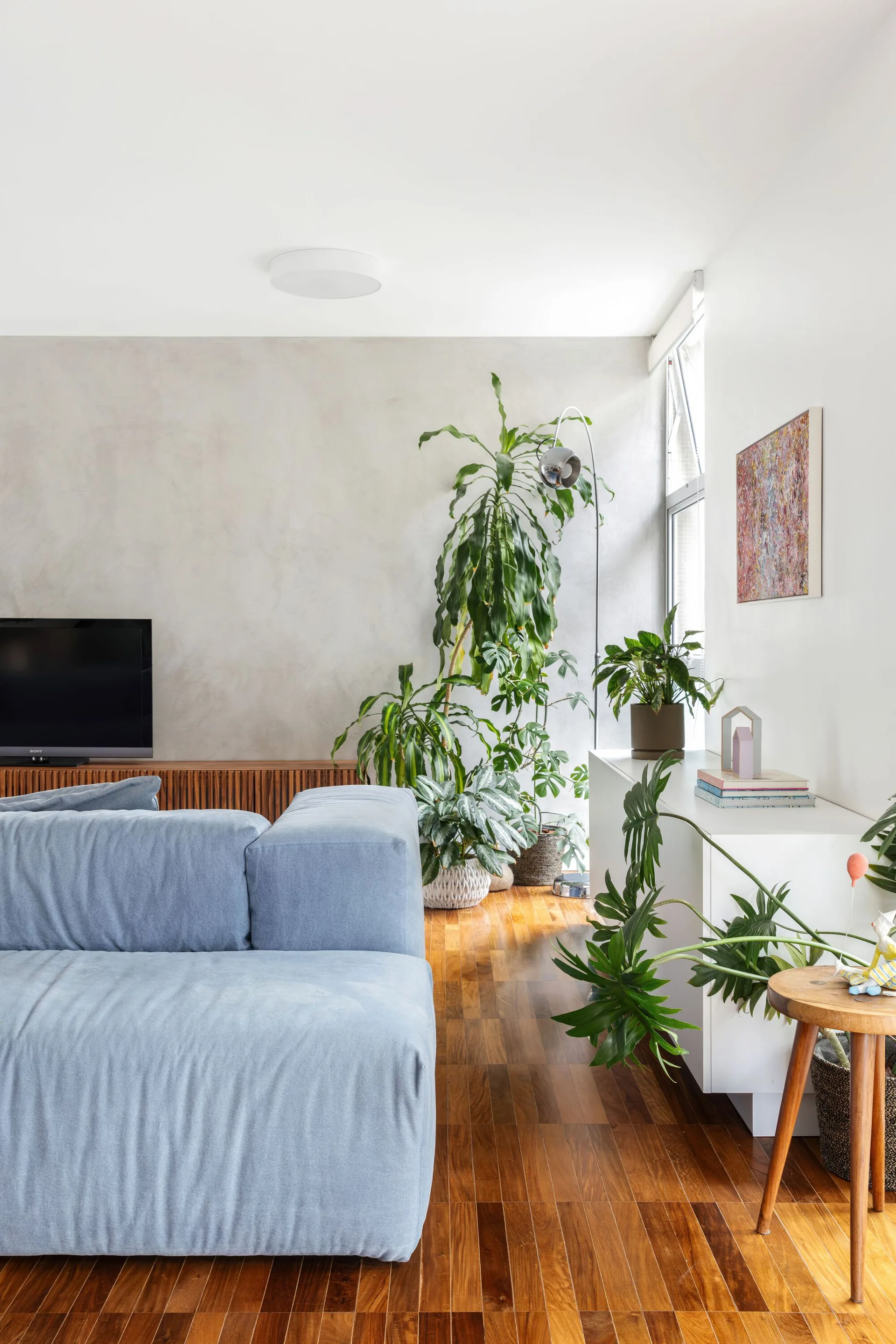 A light gray living room features a blue fabric sofa, a slatted wood media console, and multiple potted green houseplants on warm wood floors.