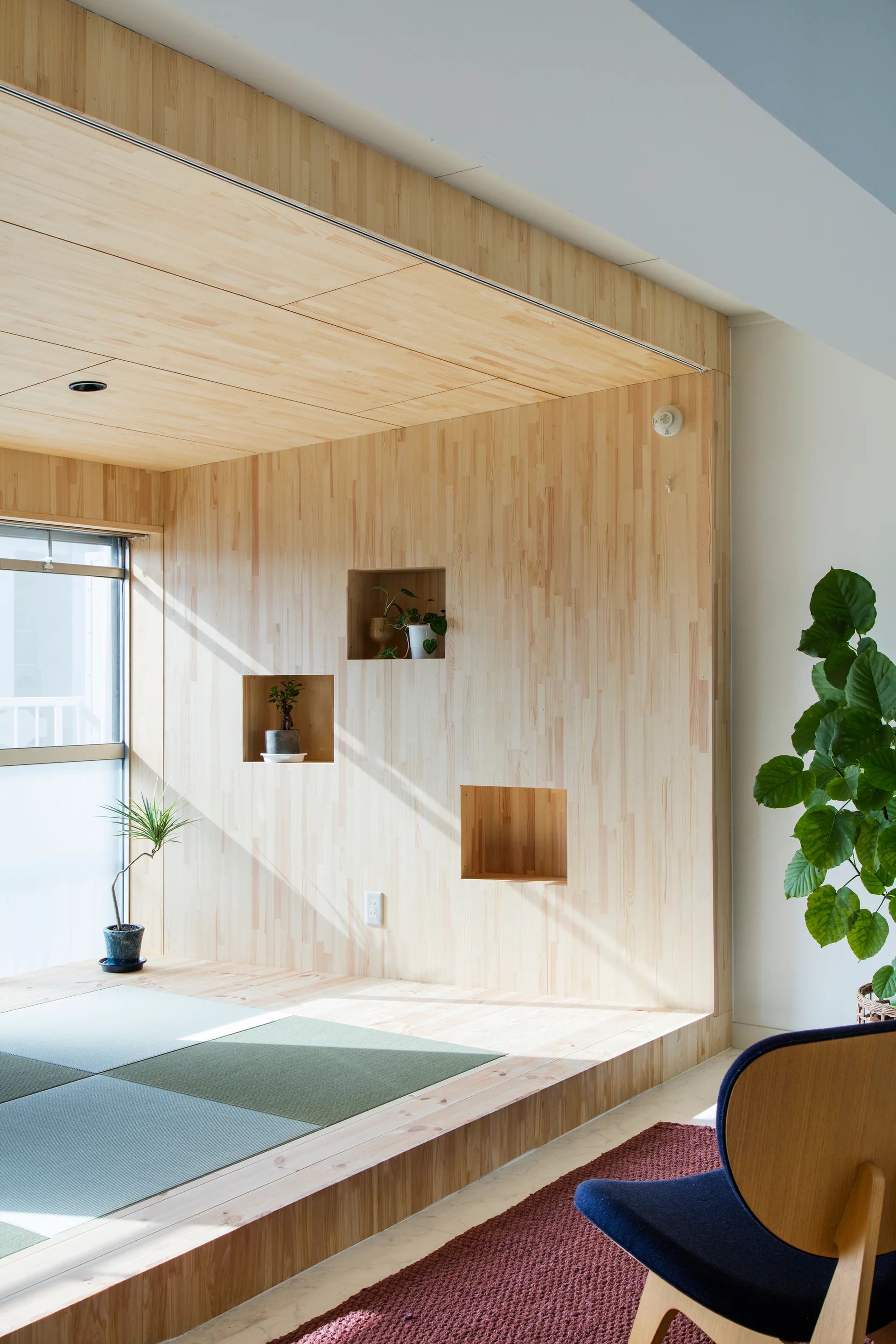 A minimalist room features a raised light wood platform with green tatami mats and a wood-paneled wall with recessed square niches for small plants.