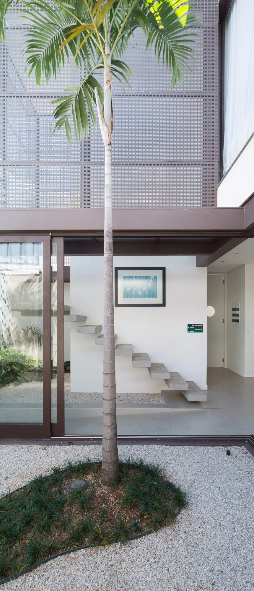 A modern courtyard features a tall palm tree planted in a gravel bed next to sliding glass doors that reveal a floating concrete staircase inside.