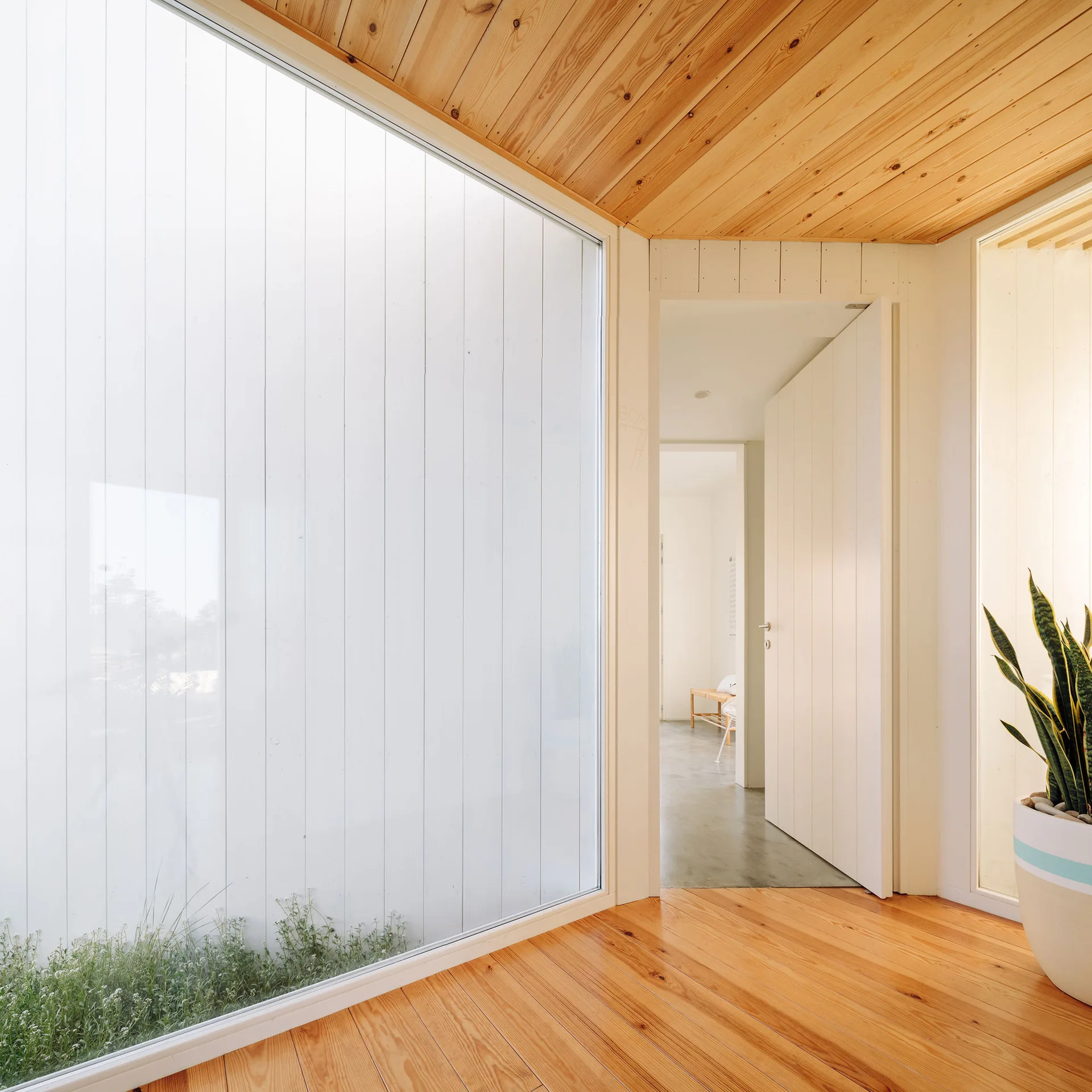 A bright interior hallway featuring warm wood floors and ceilings, a large floor-to-ceiling frosted window, and a white paneled door.