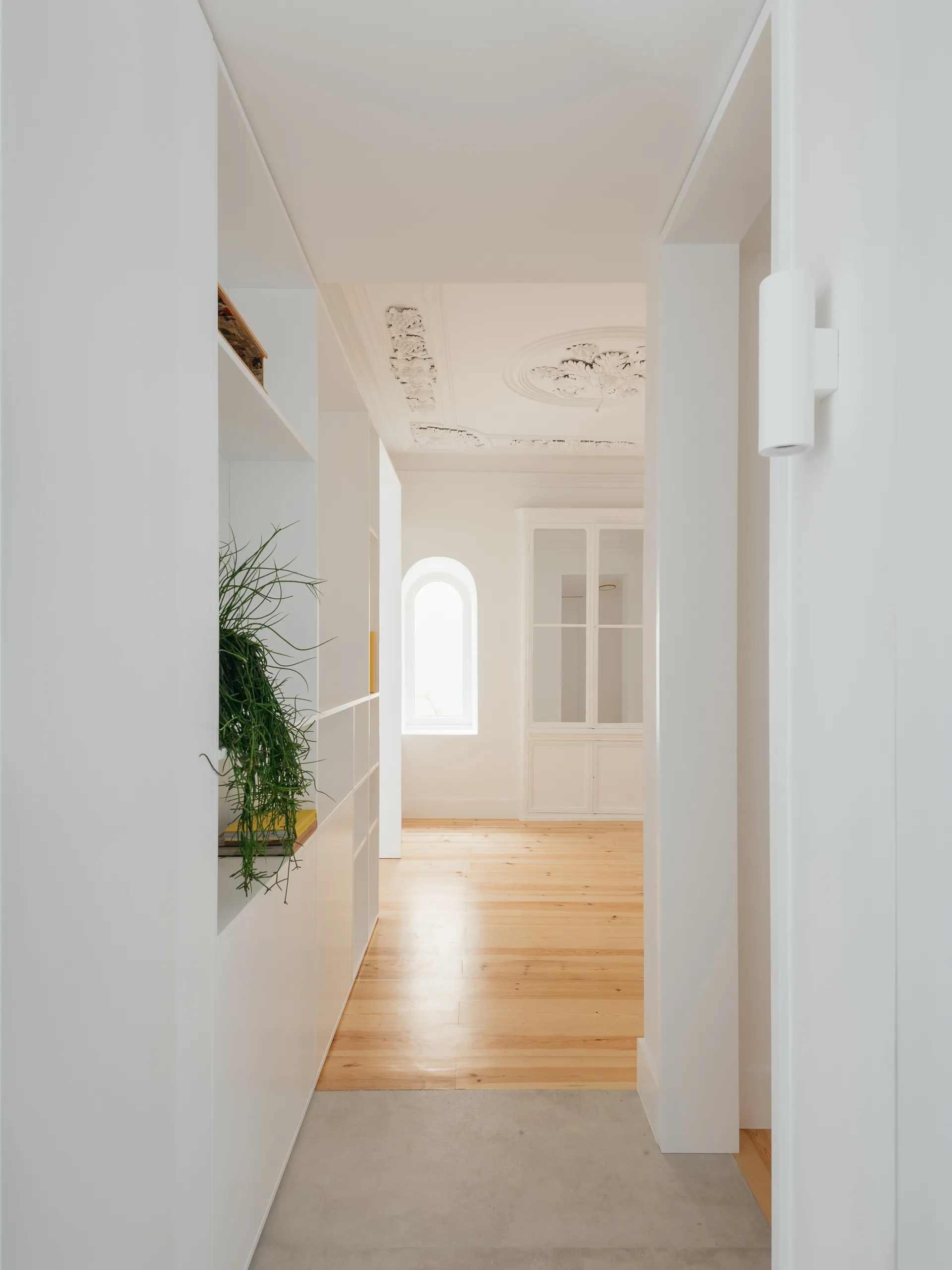 A bright hallway features light wood flooring, minimalist white built-in storage, and an ornate plaster ceiling with decorative moldings.