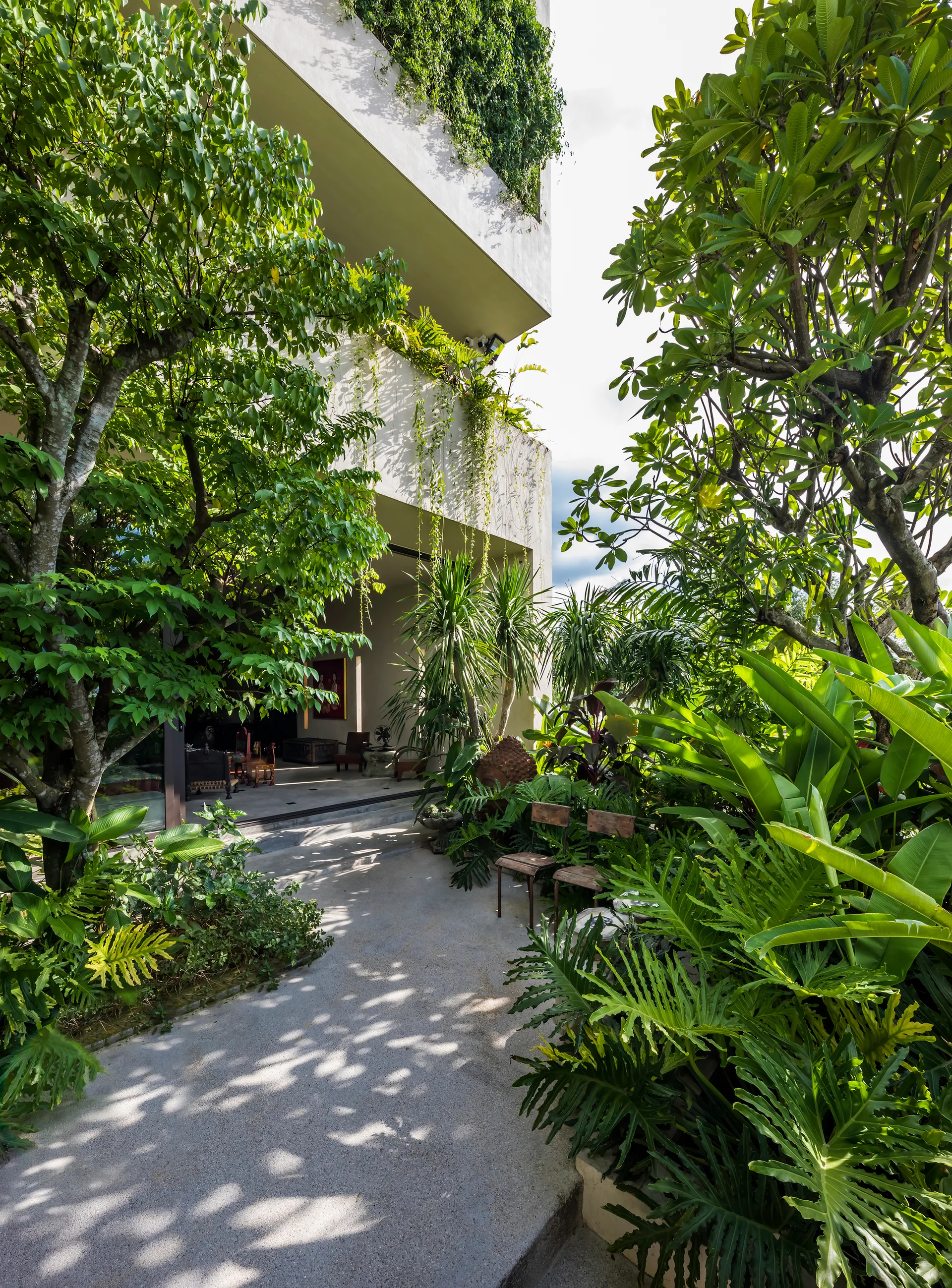 A concrete pathway winds through a dense tropical garden toward a modern concrete building with balconies draped in climbing vines.