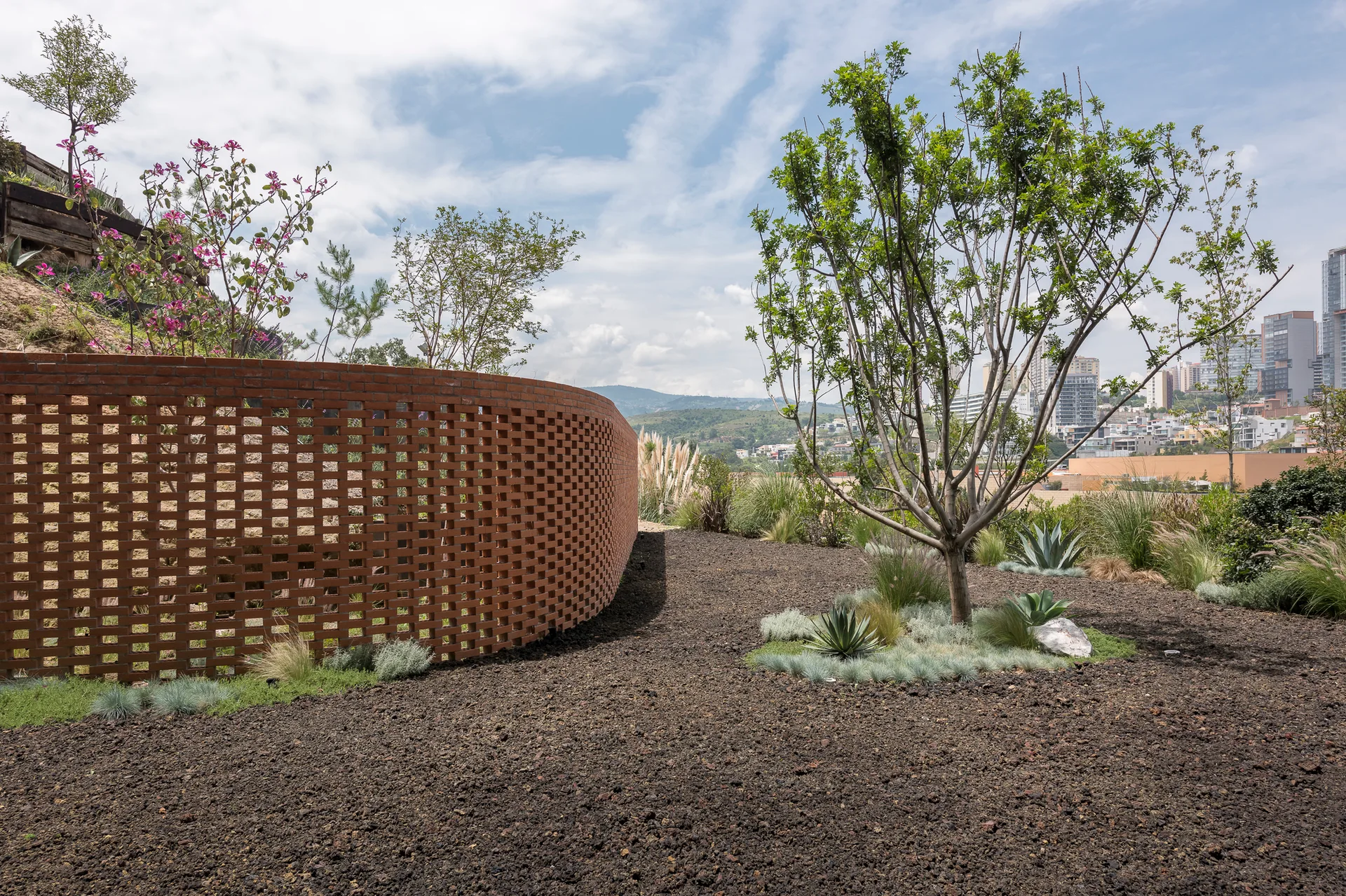 A curved terracotta brick wall with a perforated pattern stands in a modern garden landscaped with dark mulch, ornamental grasses, and young trees.