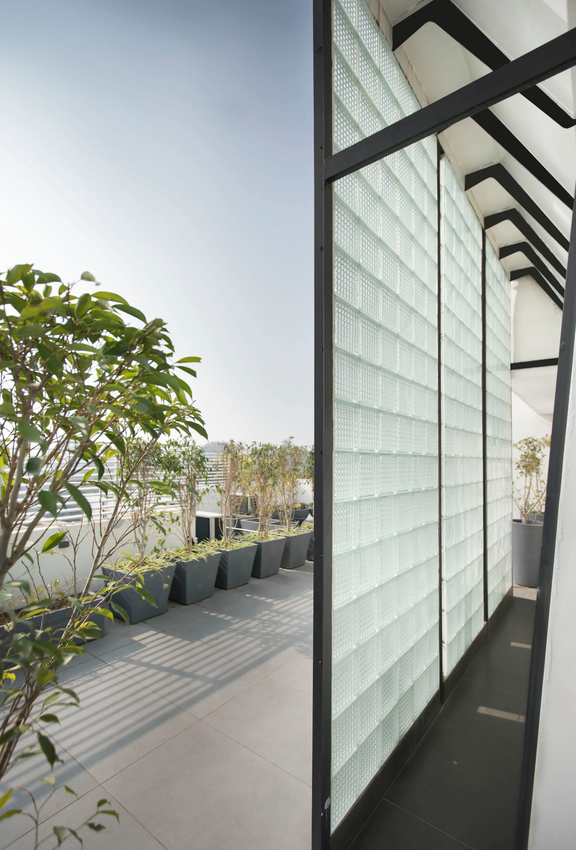 A modern outdoor terrace features a tall glass block partition wall in a black metal frame next to a neat row of potted green plants.