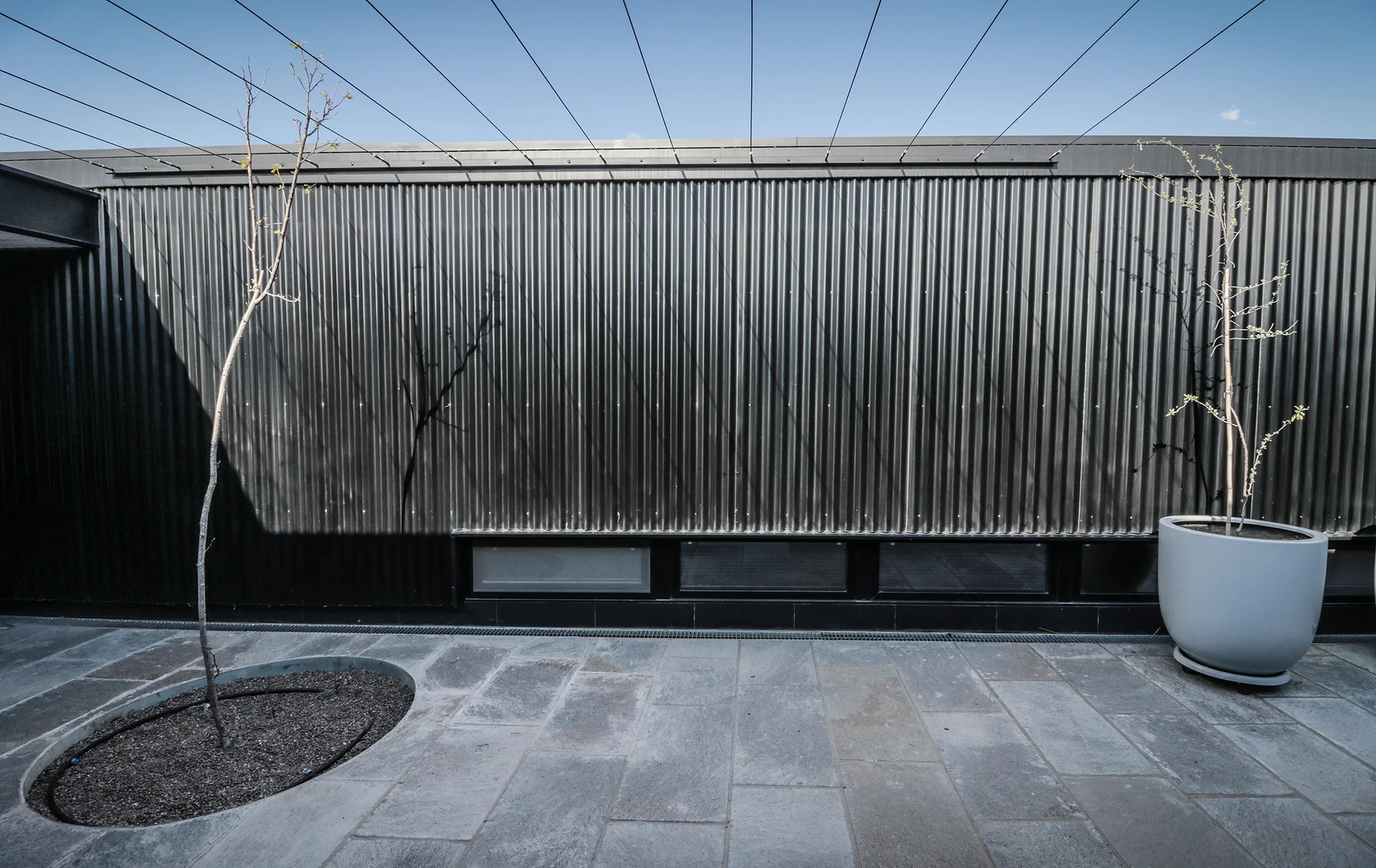 An outdoor patio features a dark grey corrugated metal wall, a stone paved floor, low horizontal windows, and a thin tree planted in a circular cutout.