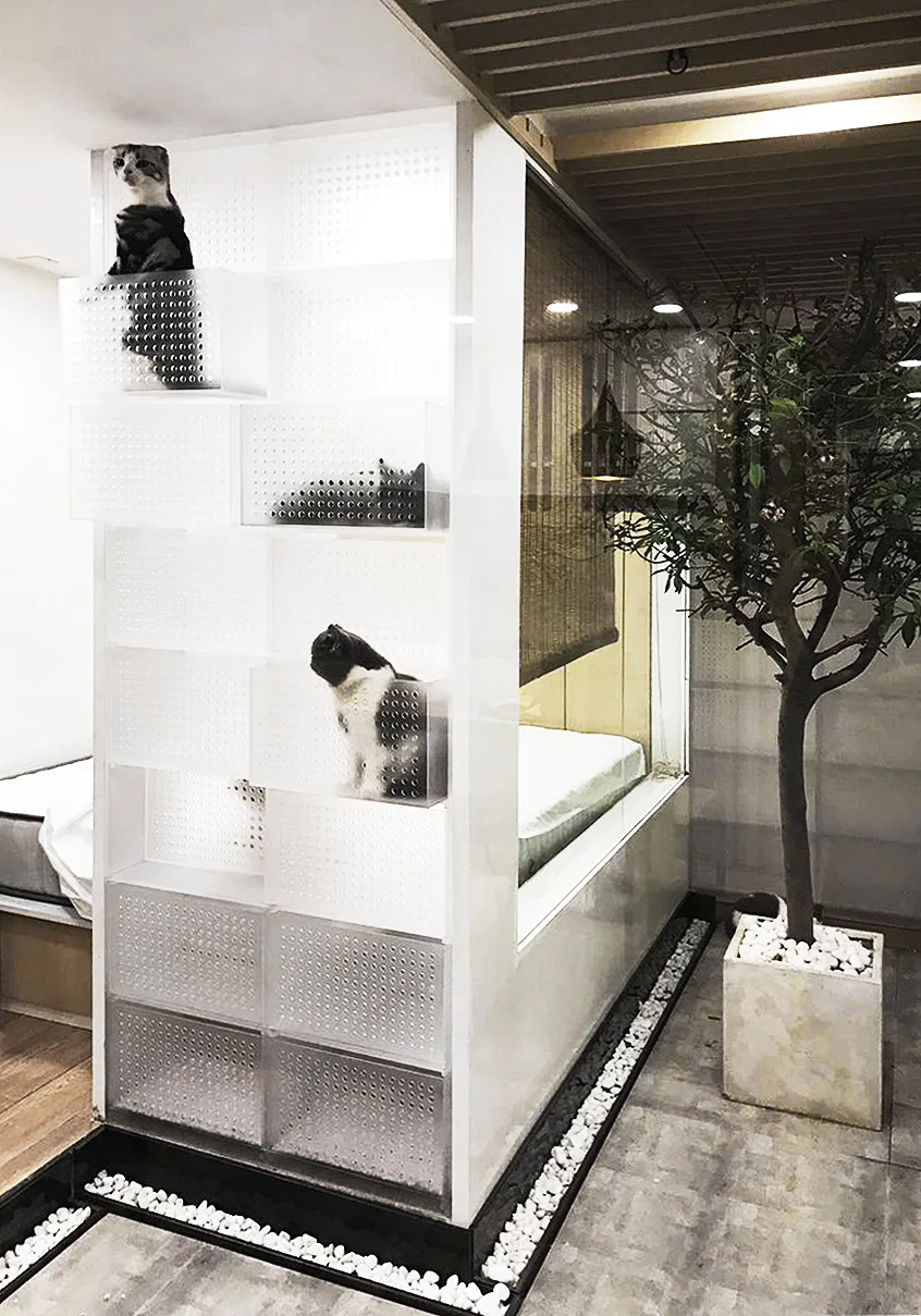 A white perforated modular partition wall functions as a cat enclosure next to an indoor tree in a square planter over grey tile flooring.