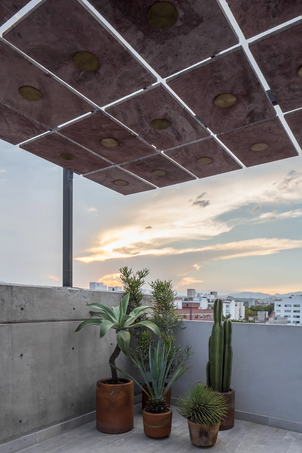 A rooftop terrace features a grid-patterned tile pergola overhead, an exposed concrete wall, and several cacti in terracotta pots during sunset.