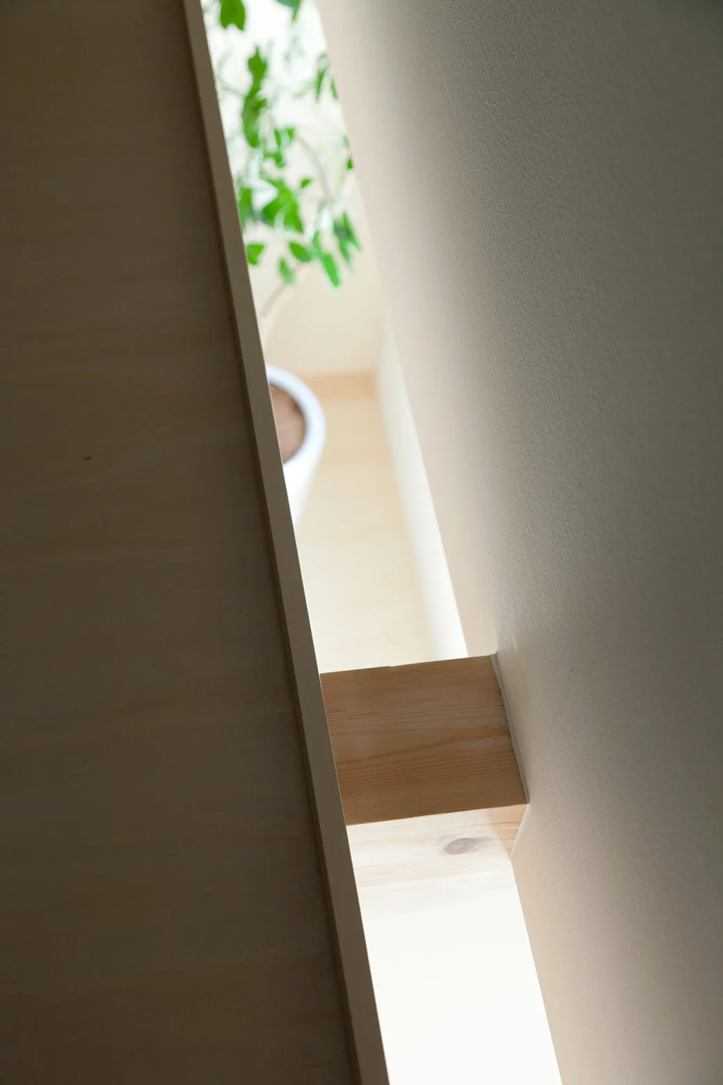 Looking down a narrow gap between a light wood panel and a white wall, bridged by a small wooden block, with a potted plant visible below.