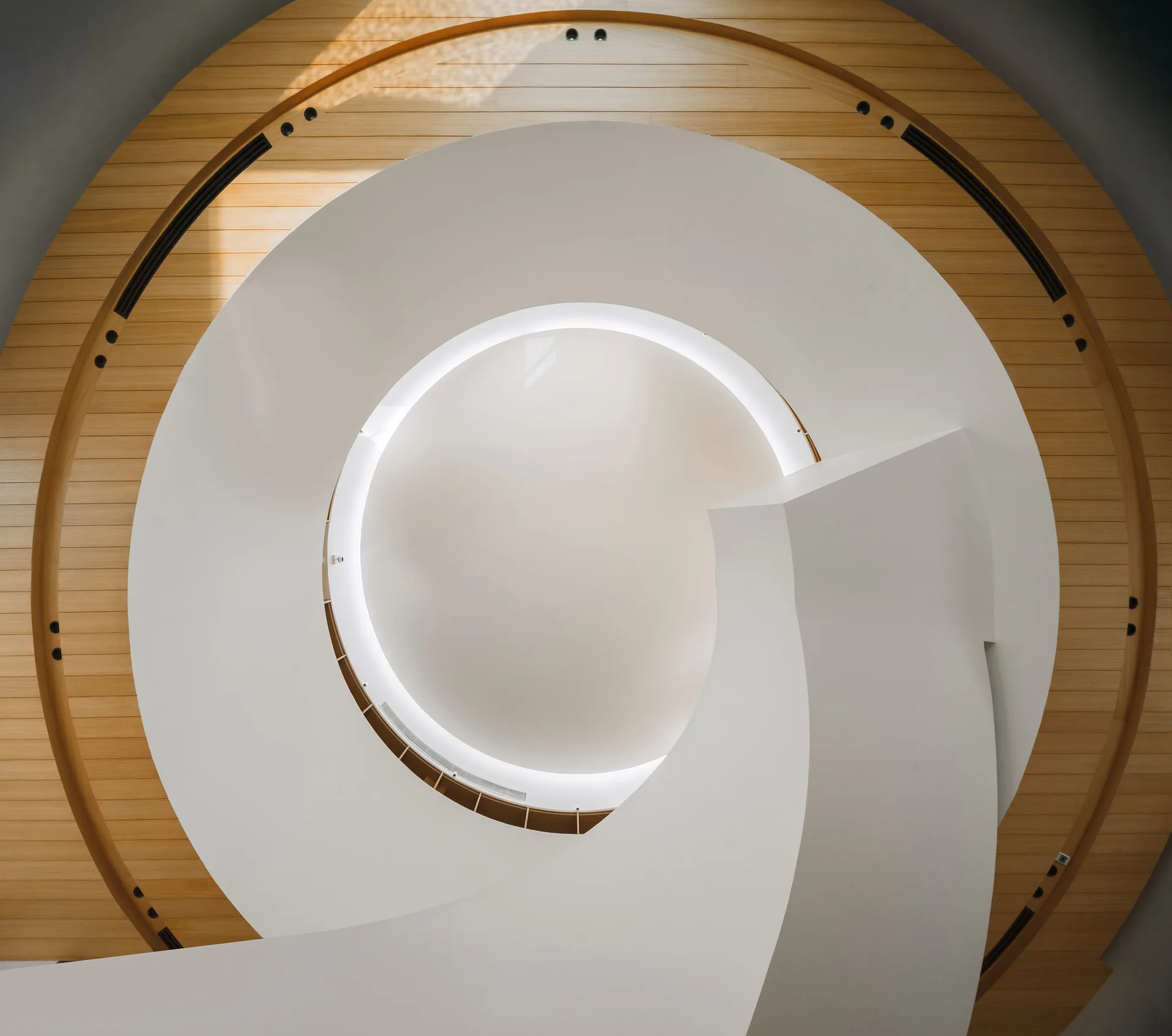 A bird's-eye view of a minimalist spiral staircase featuring a smooth white railing and a surrounding circular light wood plank floor.