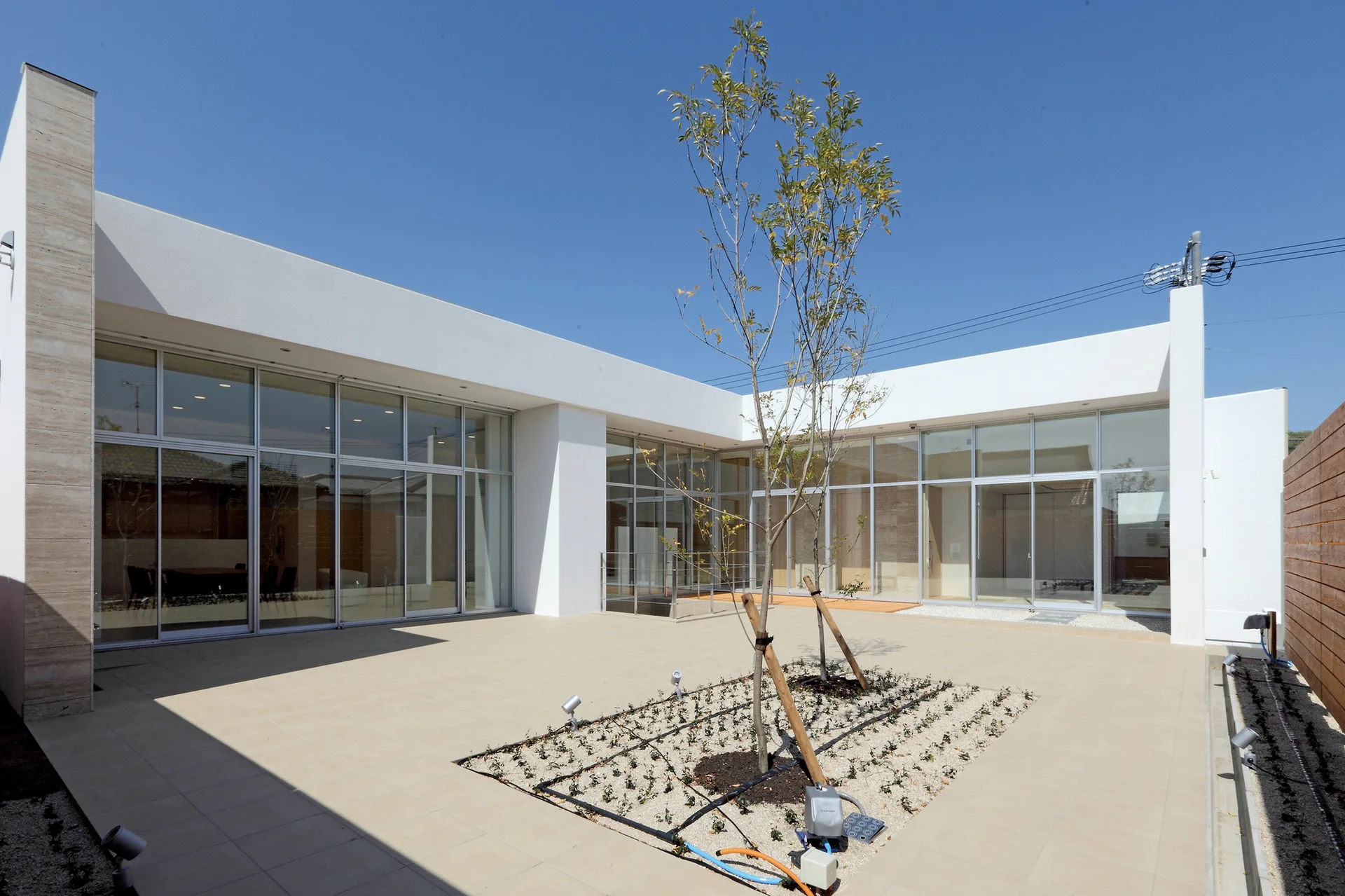 A modern minimalist courtyard features beige floor tiles, floor-to-ceiling glass windows on white building walls, and a young tree in a central gravel planter.