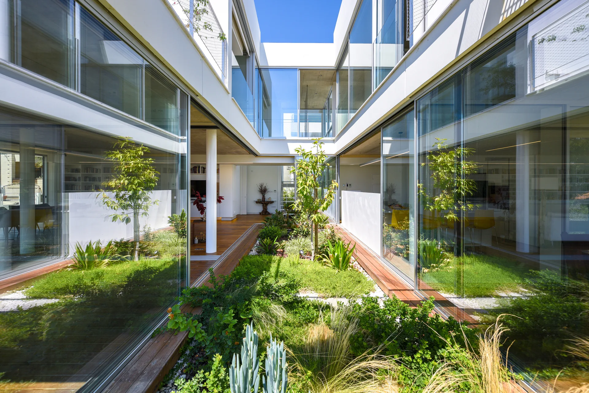 A central garden courtyard with lush green plants is framed by the floor-to-ceiling glass walls of a modern white residence with wood-plank decking.