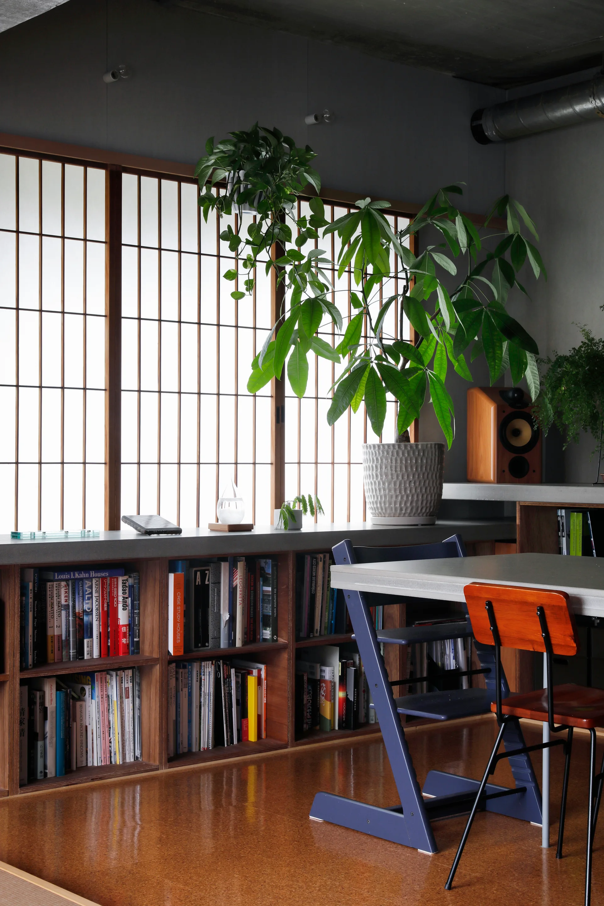 A low wooden bookshelf sits beneath a shoji-style window screen, with a green potted plant resting on a gray concrete ledge.