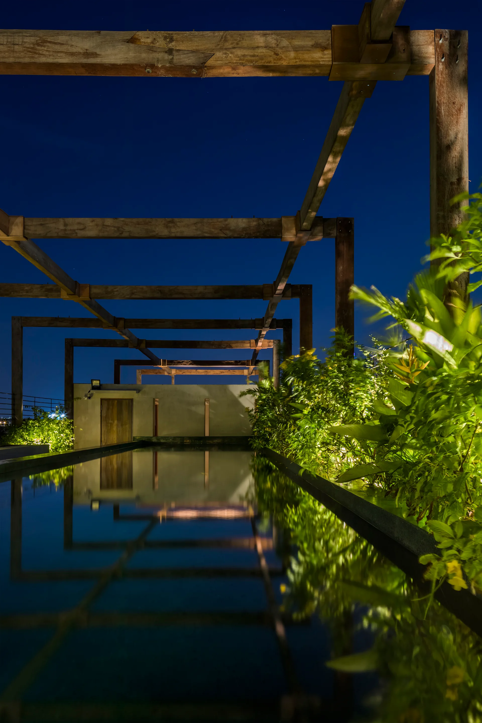 A long rectangular reflecting pool at night, lined with illuminated green plants and framed by an overhead wooden pergola structure.