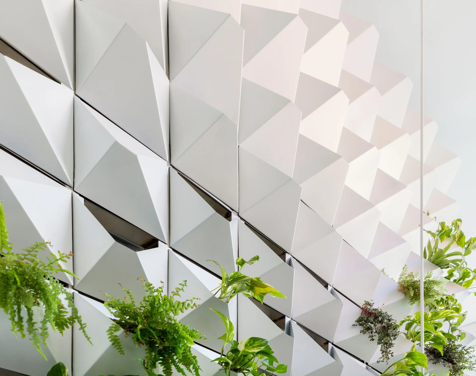 A close-up of a white three-dimensional geometric wall paneling system featuring pockets filled with green cascading houseplants.