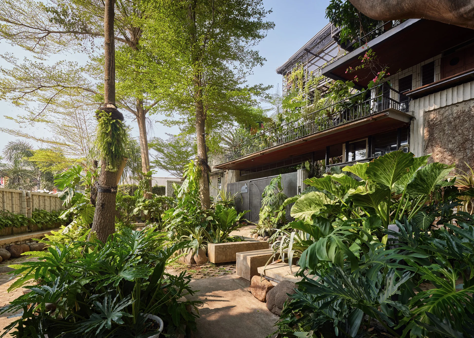 A lush tropical garden features tall mature trees, large leafy plants, concrete benches, and a multi-story building with a metal balcony.