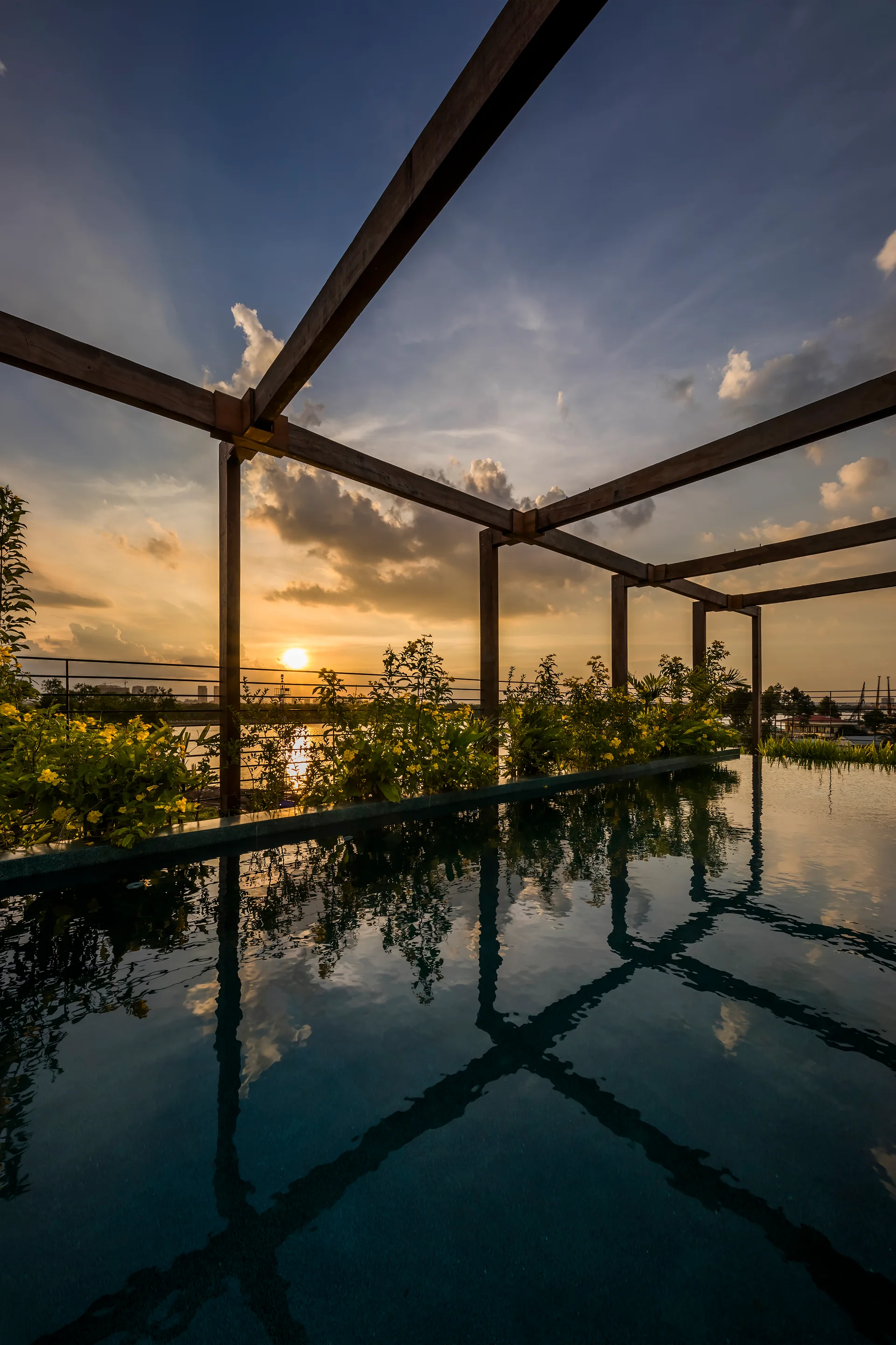 A rooftop infinity pool is framed by a dark wood pergola and a row of flowering green plants under a sunset sky.