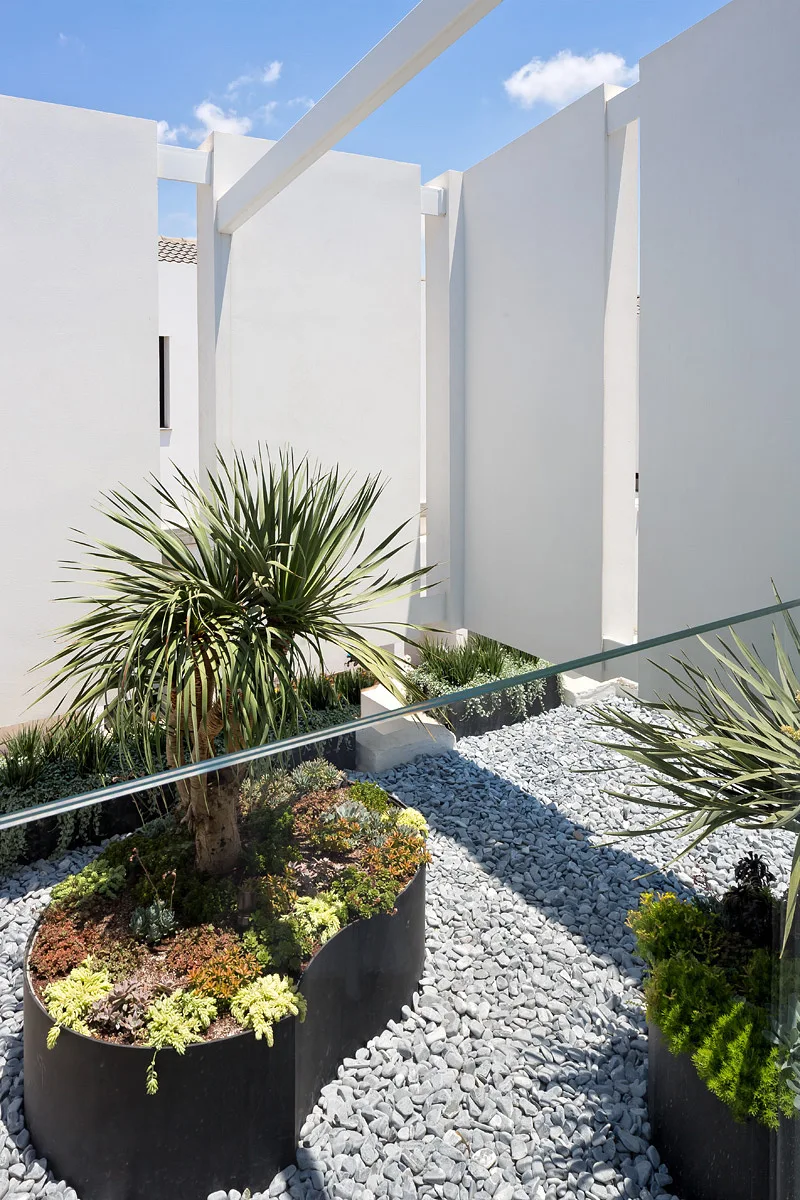 A modern outdoor courtyard featuring curved black metal planters with spiky green plants, set against tall white privacy walls on a grey gravel bed.