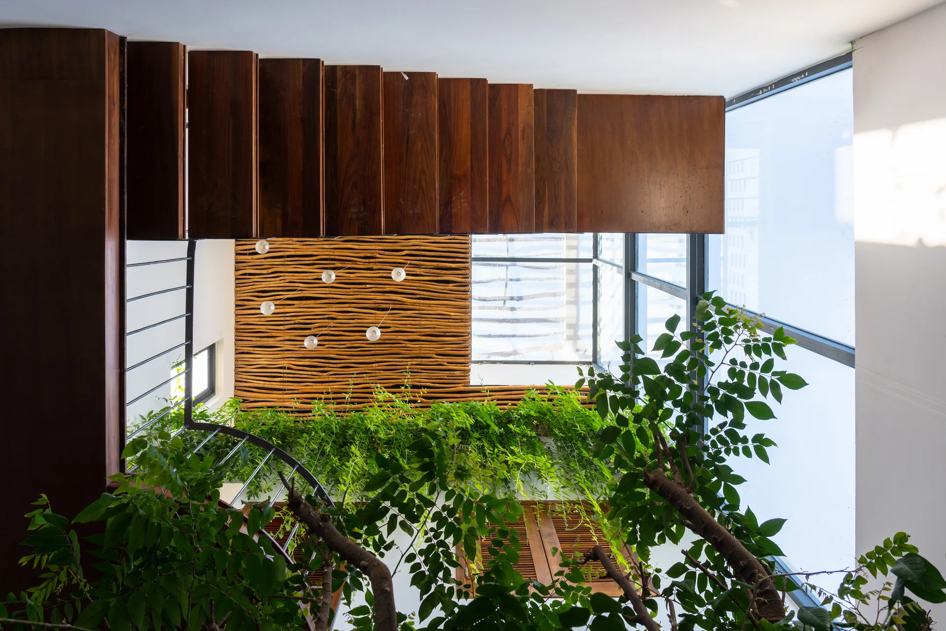 Looking up a modern stairwell with dark wood stairs, white walls, green indoor trees, and a bright glass skylight.