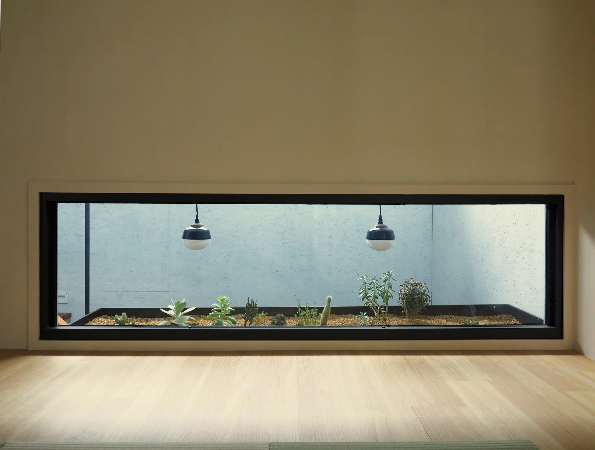 A low rectangular window with a black frame showcases a succulent garden in a planter box with two hanging pendant lights.