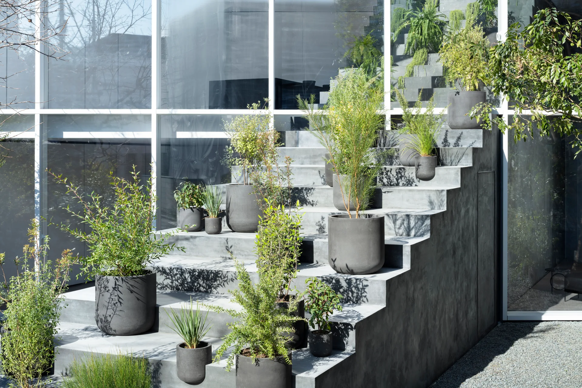 Dark grey cylindrical planters with green plants sit on a tiered concrete outdoor staircase in front of a large grid glass window.