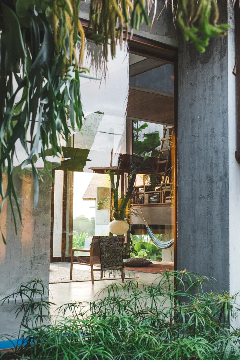 A view through a large glass door into a concrete living room featuring a wooden armchair, hanging hammock, and lush green plants.