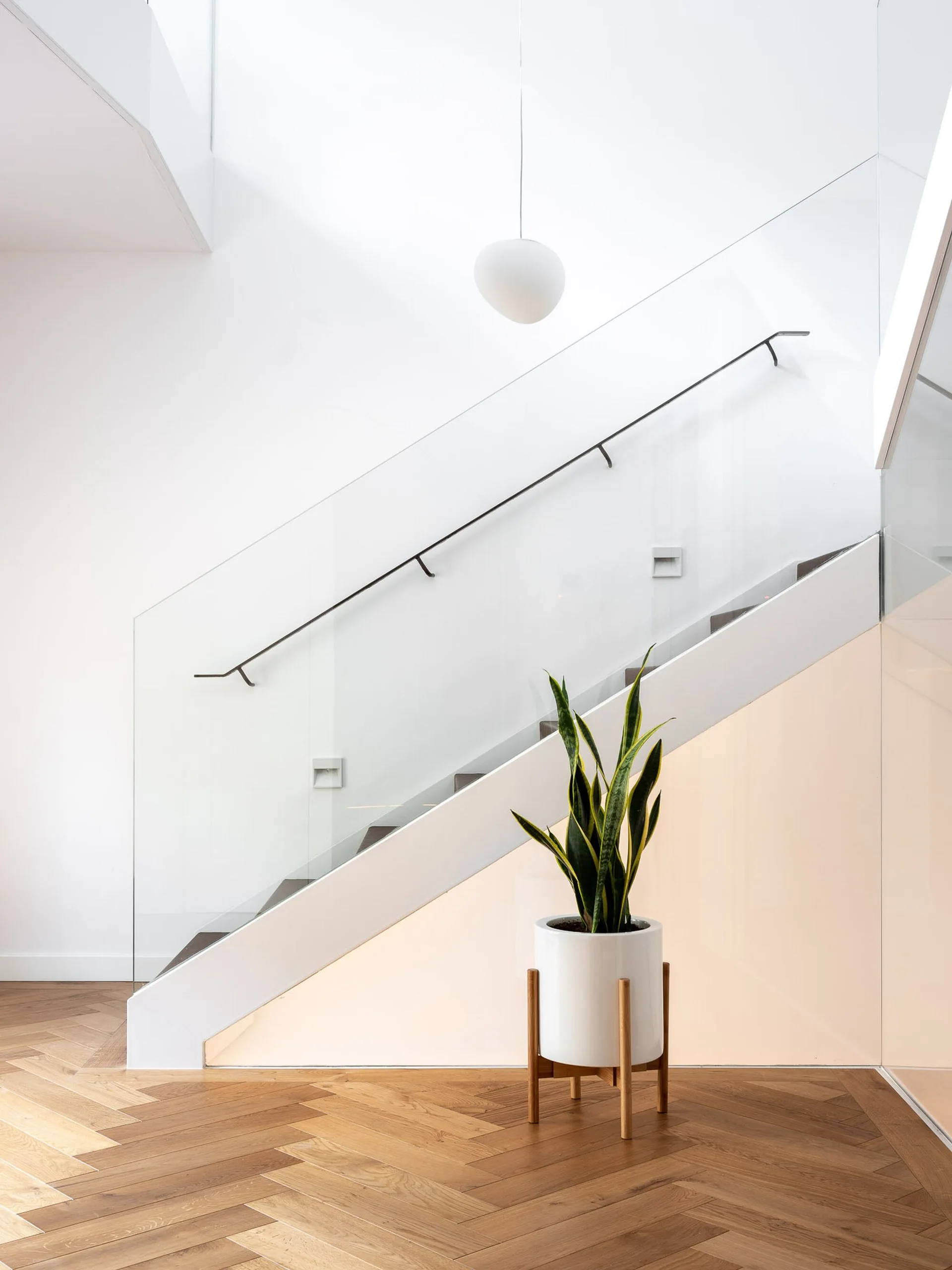 A modern white staircase featuring a frameless glass railing, herringbone parquet wood flooring, a glowing under-stair panel, and a potted snake plant.