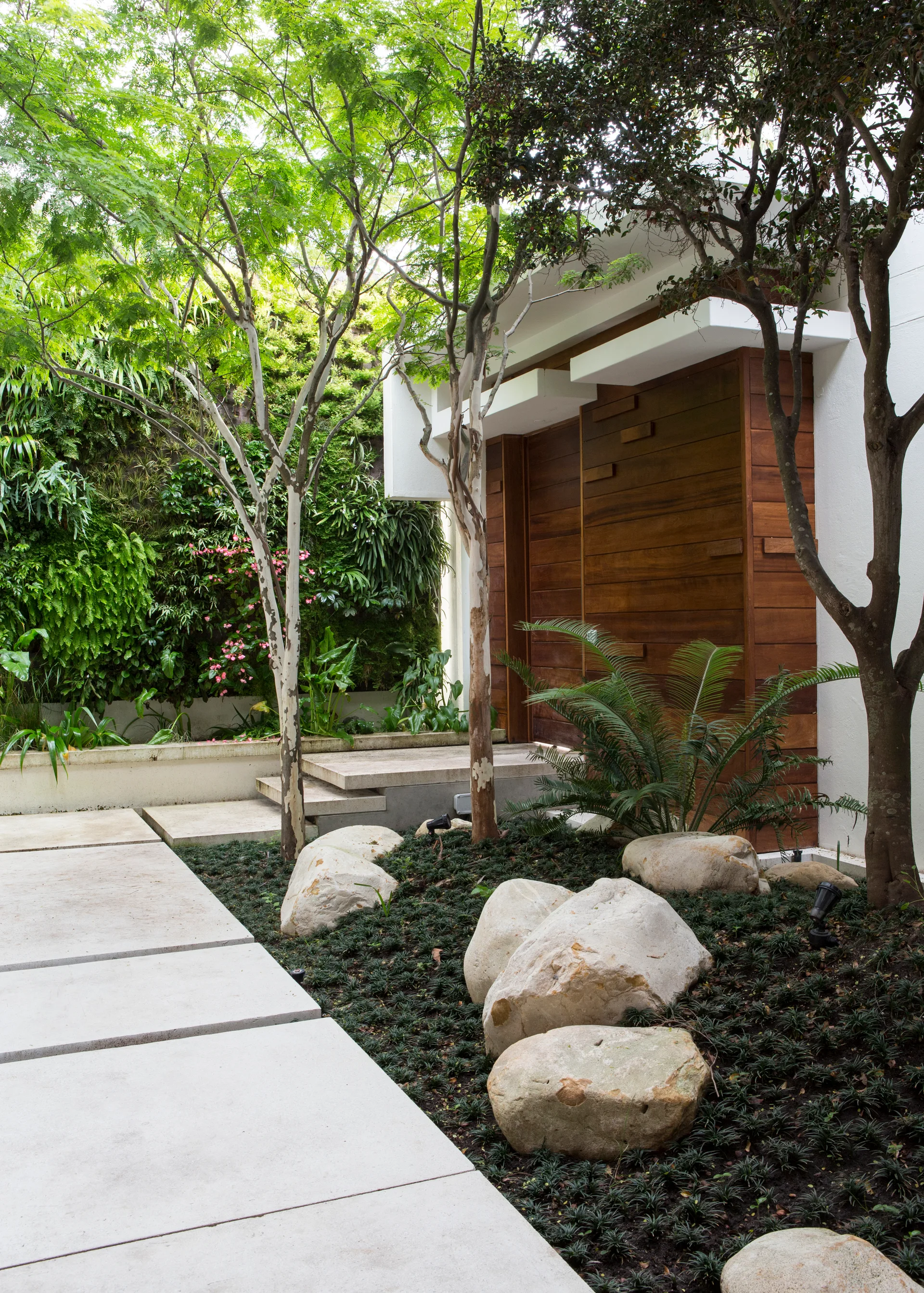 A modern garden entrance features a horizontal wood-slat door framed in white stucco, concrete slab pavers, and a lush green living wall.