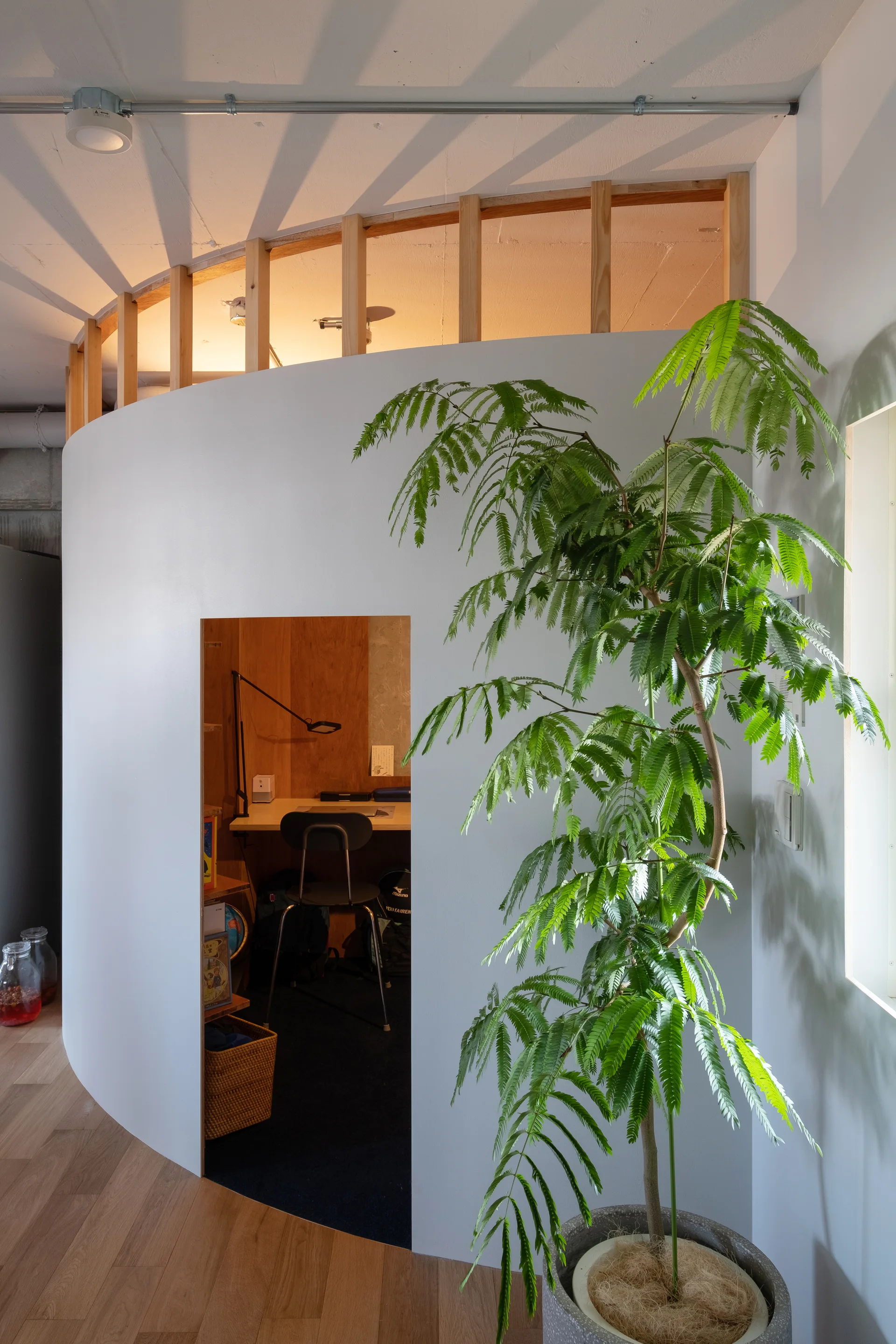 A curved white partition wall forms a private desk nook with a black chair, while a large potted plant stands in the foreground.