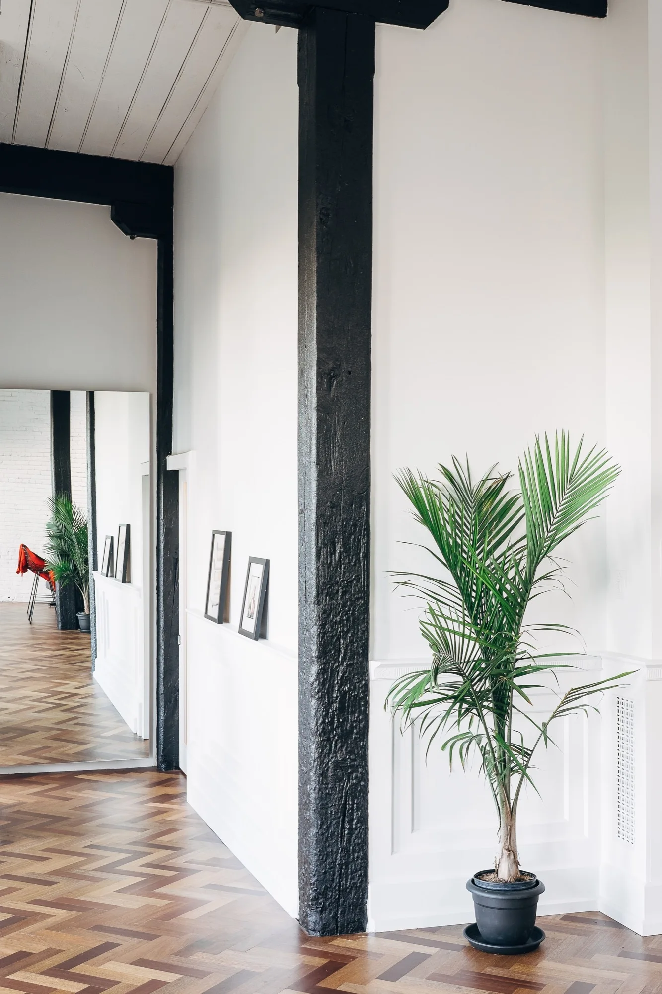 A bright hallway features herringbone wood flooring, white wainscoted walls, a tall green plant, and a prominent black structural wood beam.