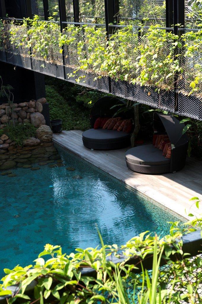 Two black circular pool loungers sit on a wooden deck beside a swimming pool under a metal trellis covered in climbing green plants.