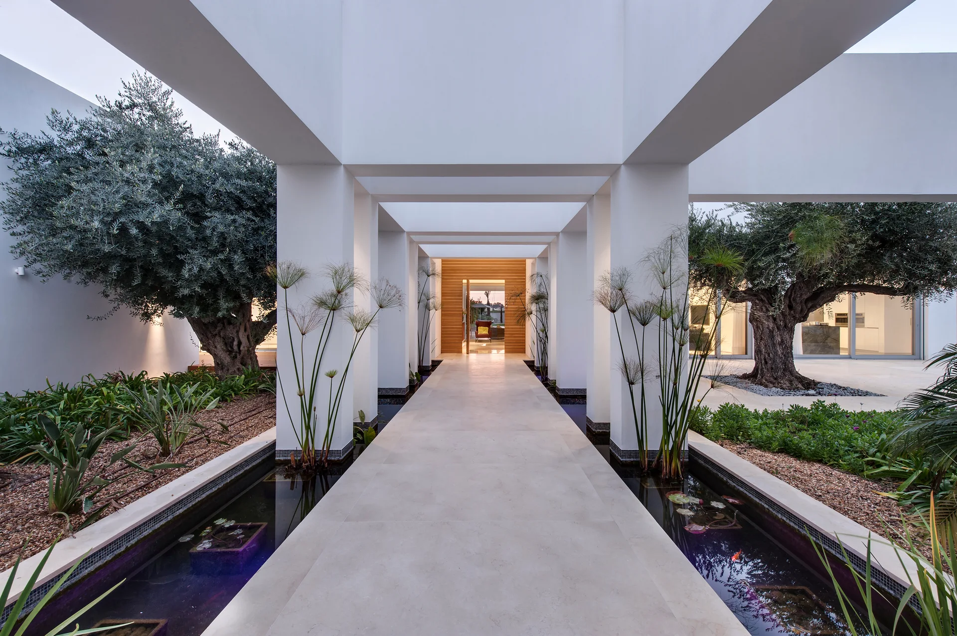A central stone walkway is flanked by symmetrical white concrete pillars, narrow water channels, and mature olive trees leading to a wooden slatted wall.