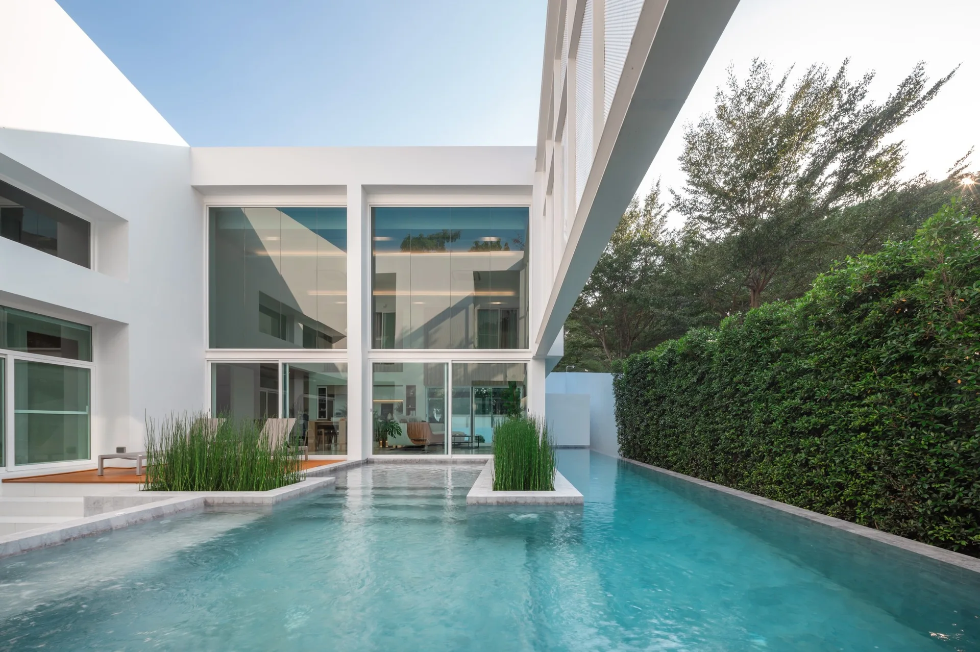 A modern white house with a large glass facade sits beside a turquoise swimming pool featuring integrated concrete planters with tall grass.