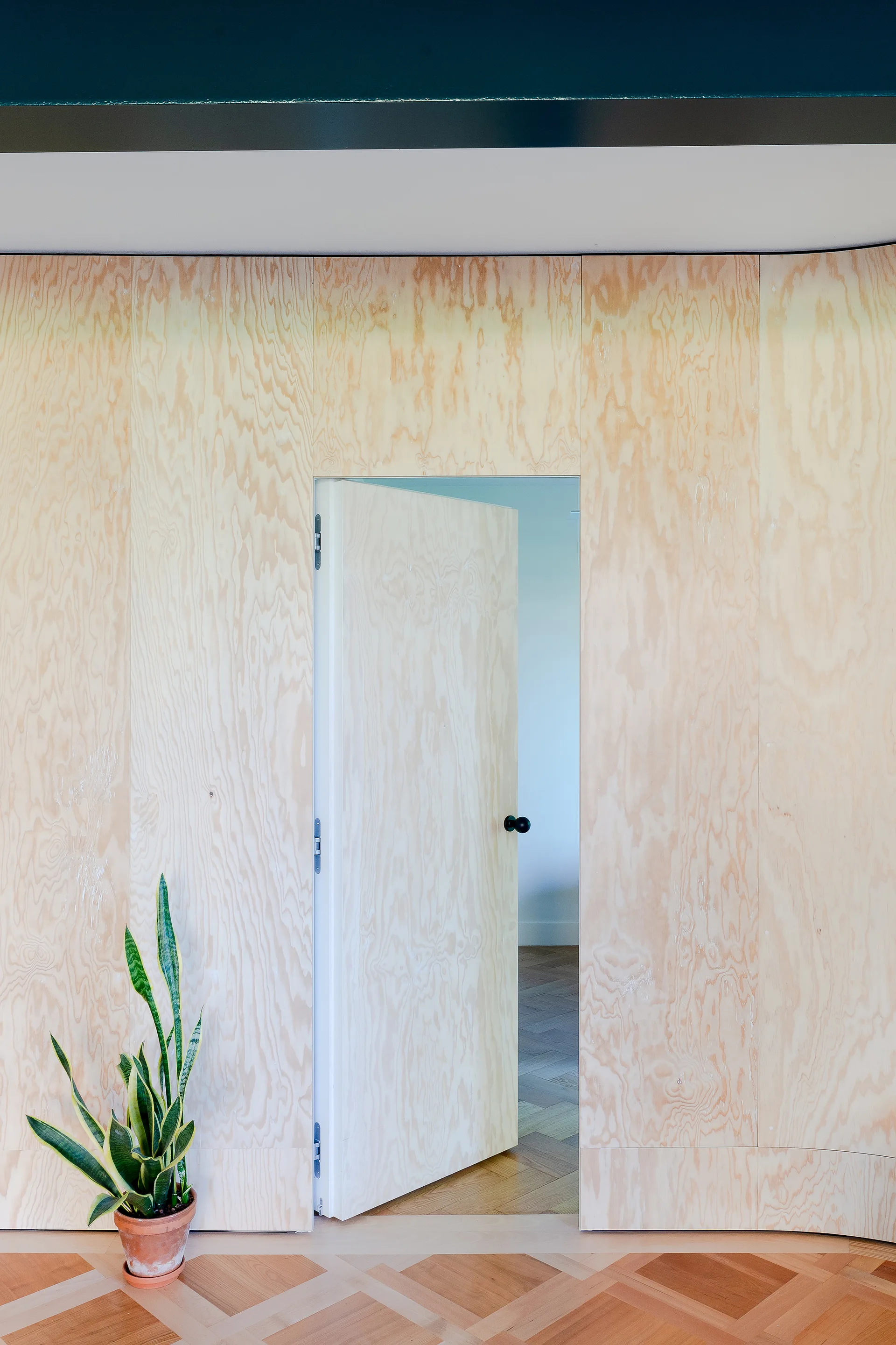 A light plywood paneled wall features an integrated matching door that opens to reveal parquet wood flooring and a potted snake plant on the left.