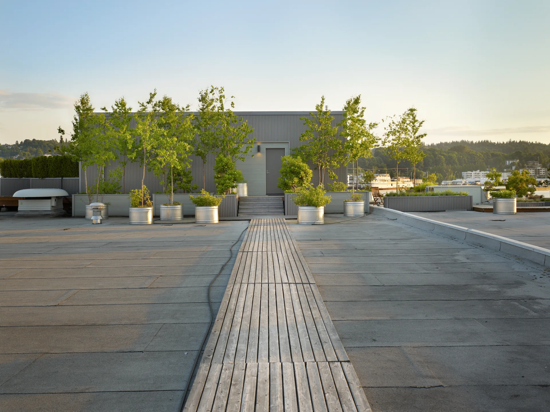 A wooden plank walkway extends across a grey rooftop terrace toward a grey corrugated metal building flanked by trees in galvanized metal planters.