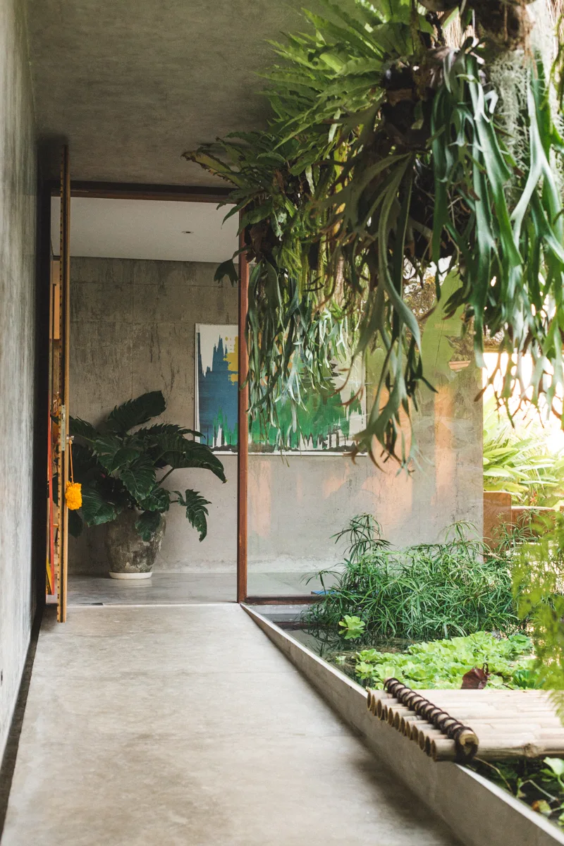 A polished concrete hallway features an indoor pond filled with green aquatic plants, a glass wall, and overhead hanging ferns.