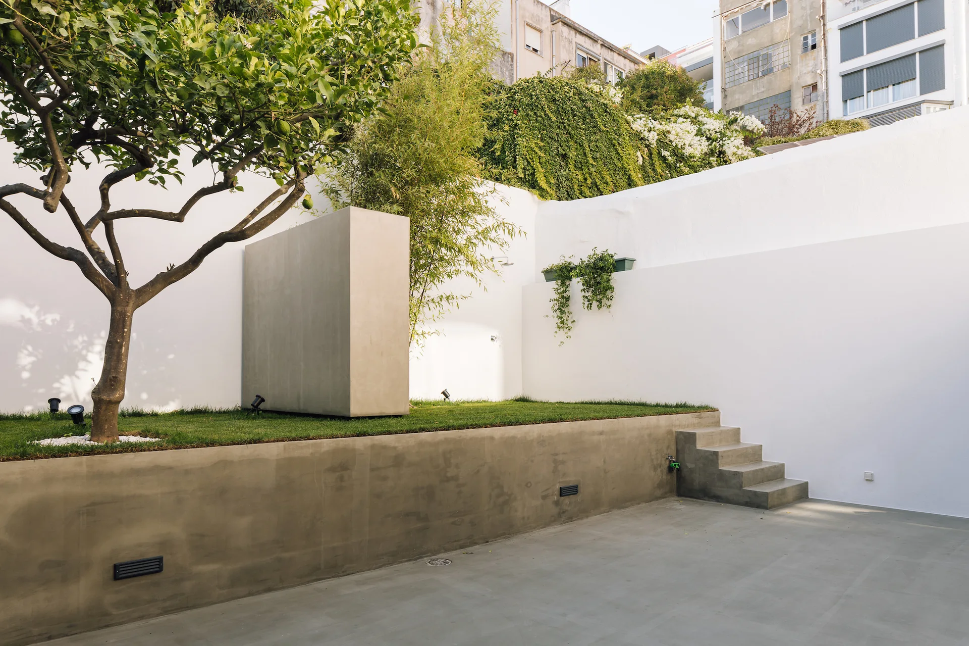 A minimalist courtyard features a concrete retaining wall with integrated steps leading to an elevated grassy lawn against tall white walls.