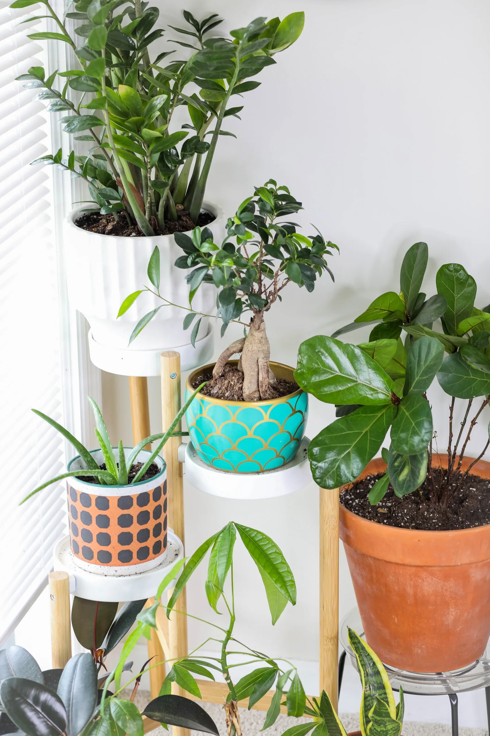 A multi tiered wooden plant stand displays houseplants in colorful patterned ceramic and terracotta pots next to a window with white blinds.