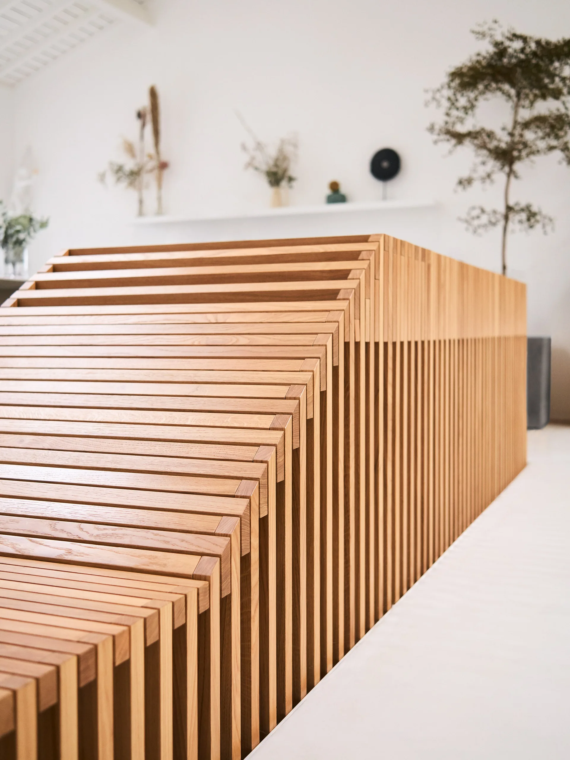 A sculptural custom slatted wood structure stands in a minimalist room with a white wall, a floating display shelf, and a potted tree.