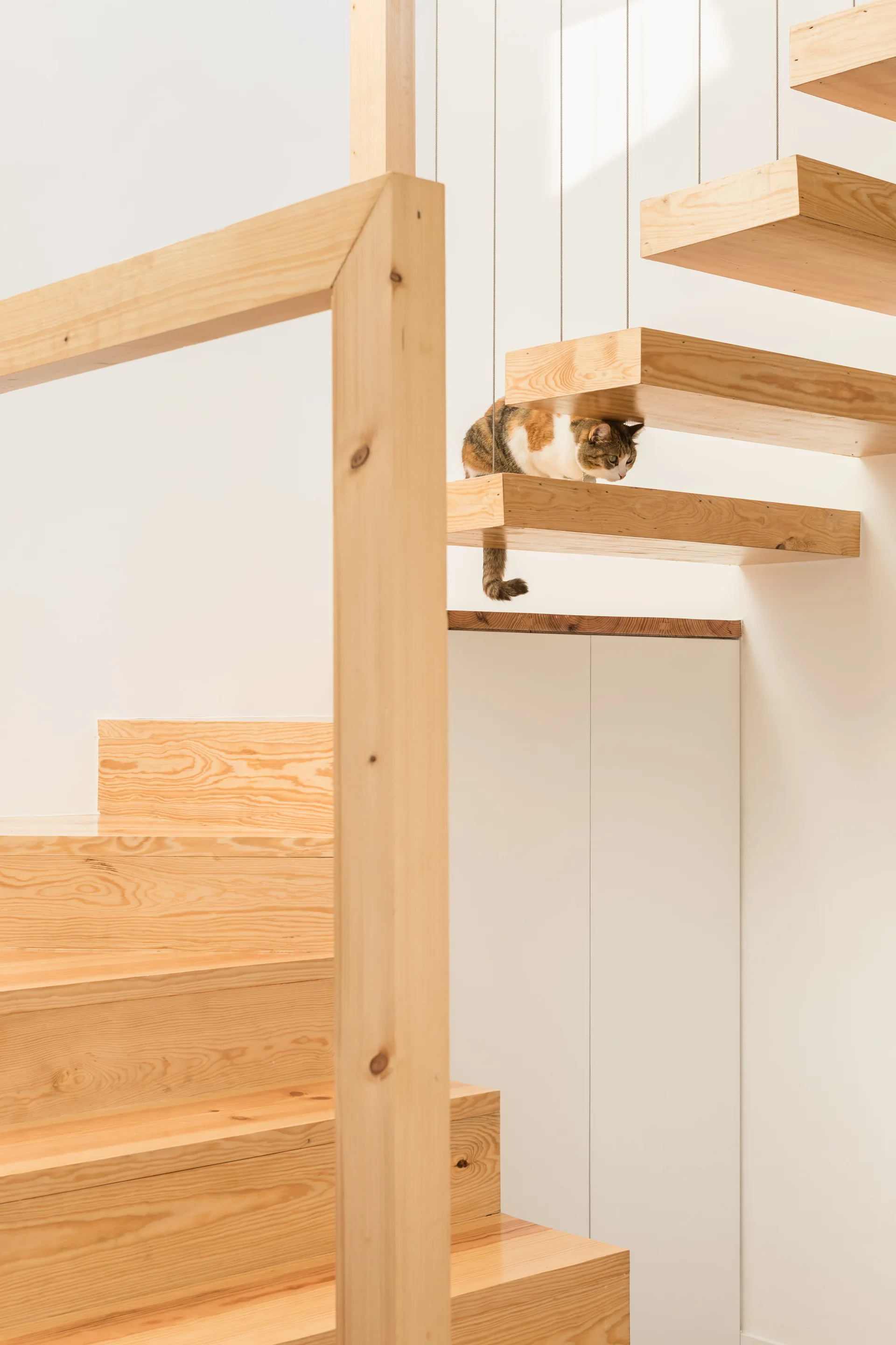 A minimalist floating wood staircase with thin vertical cable railings features a calico cat resting on a step against a clean white wall.