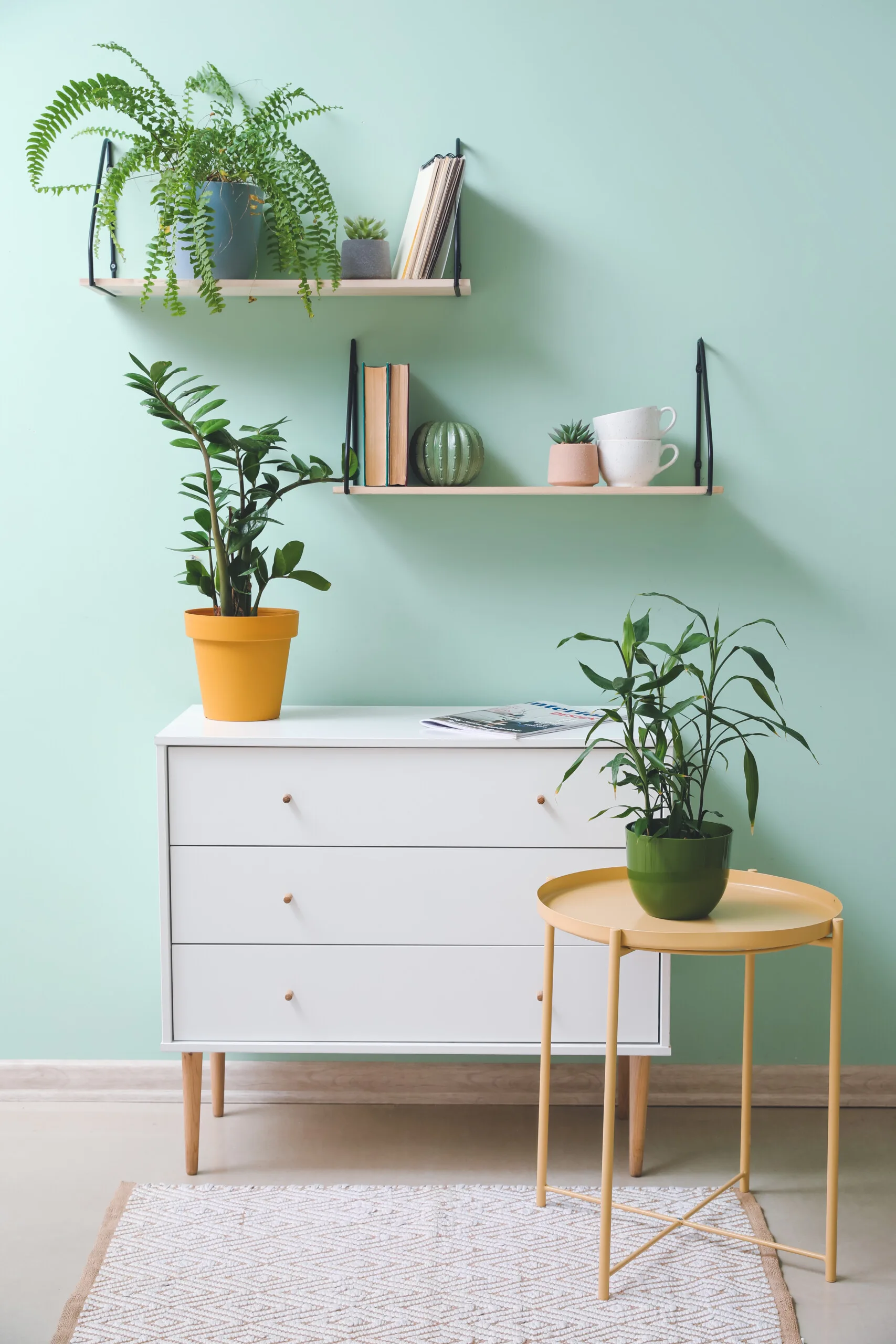 A white three-drawer dresser and a round yellow side table stand against a light mint green wall decorated with potted plants on wooden shelves.