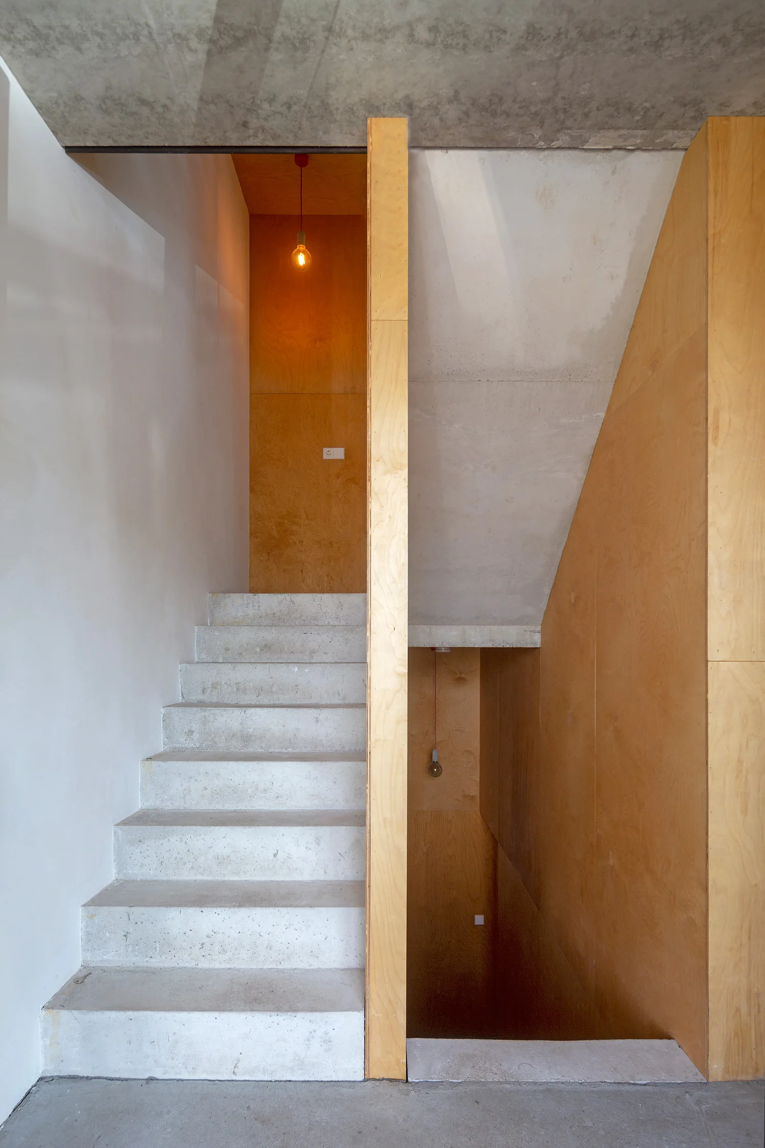 A minimalist concrete staircase with raw steps is bordered by warm plywood wall panels and an exposed concrete ceiling.