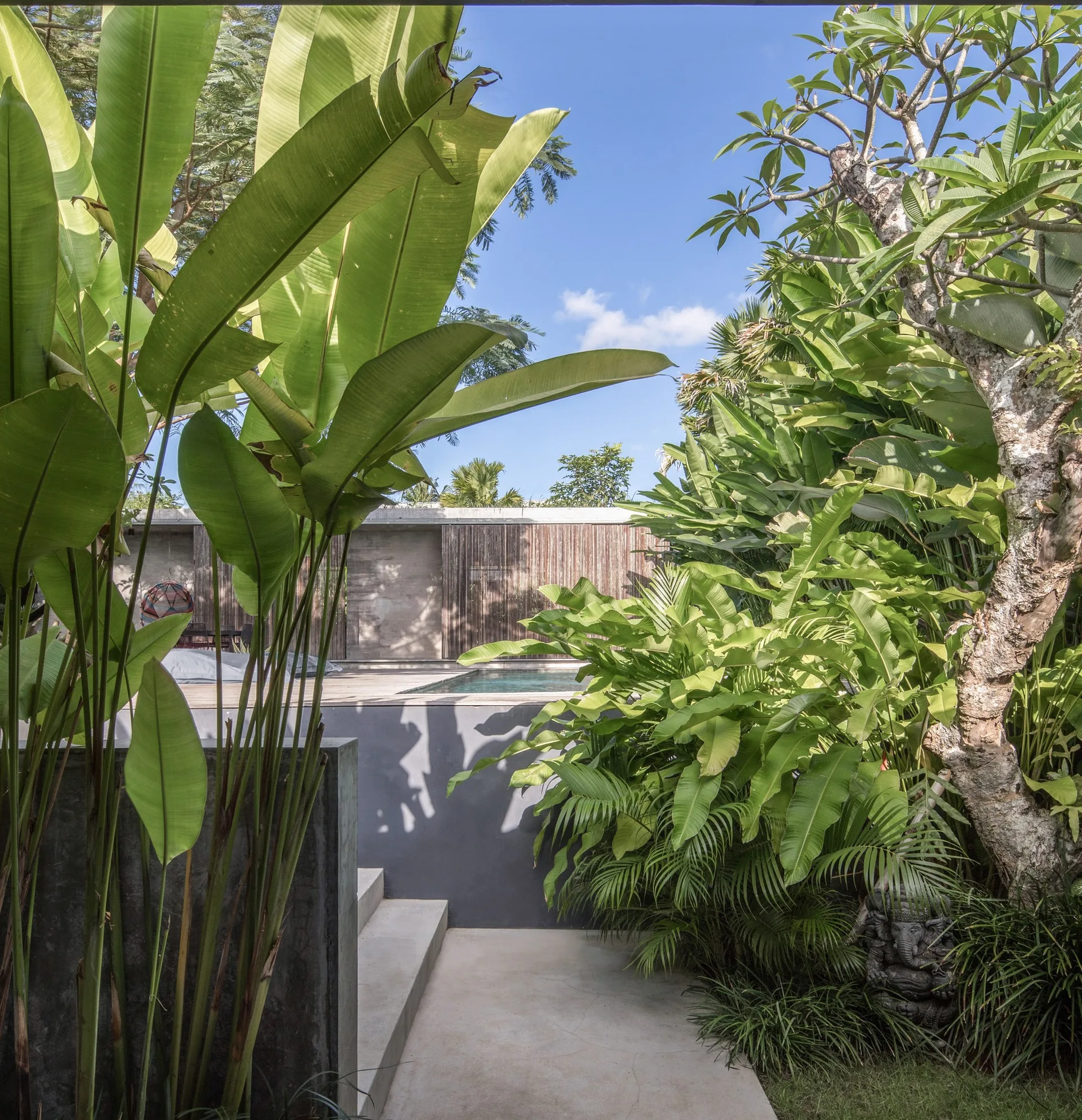 A smooth concrete pathway with low steps is surrounded by dense tropical plants leading to an outdoor swimming pool area.