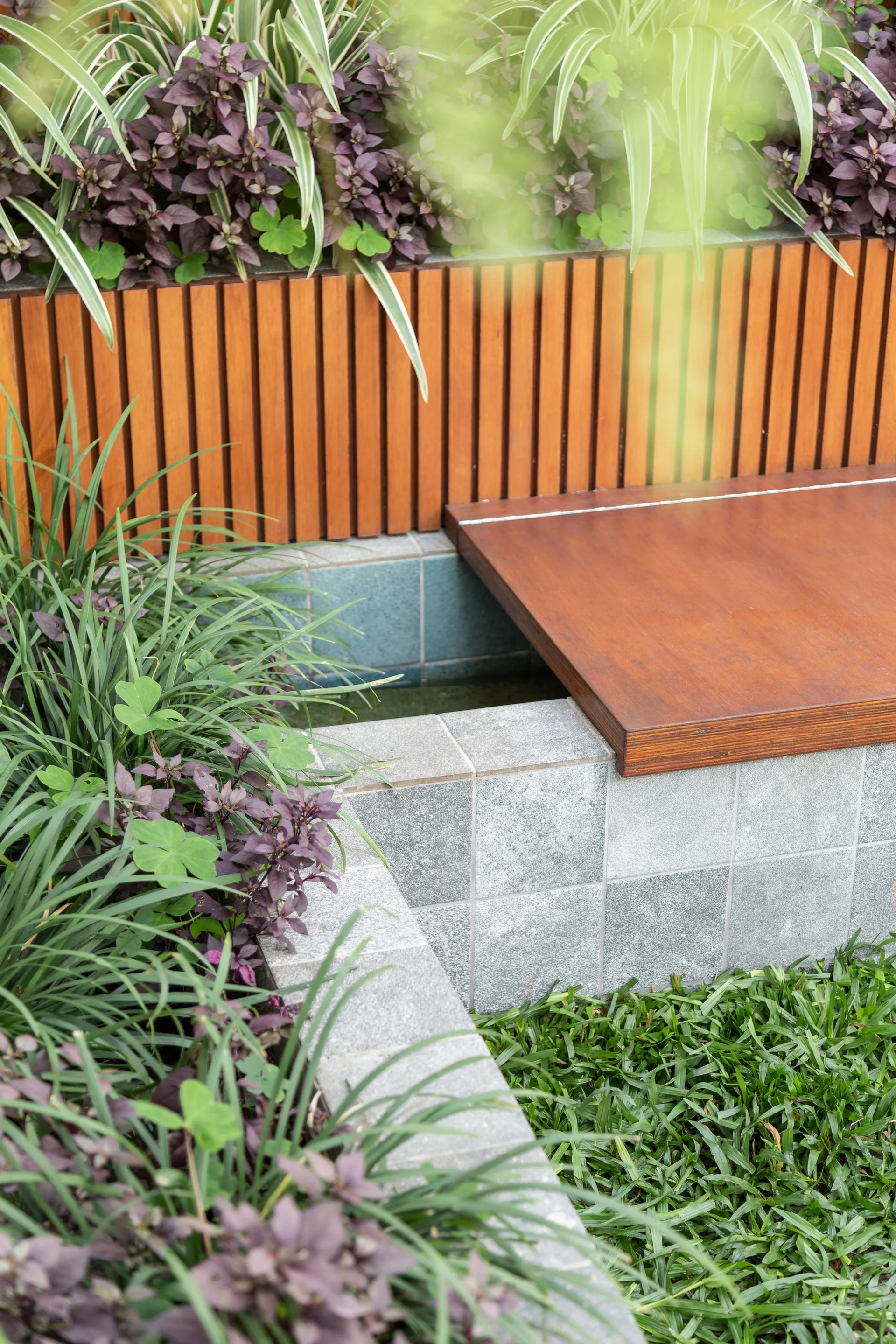 An outdoor garden with a wooden bench extending over a grey-tiled water feature, surrounded by lush green and purple plants and a slatted wood screen.