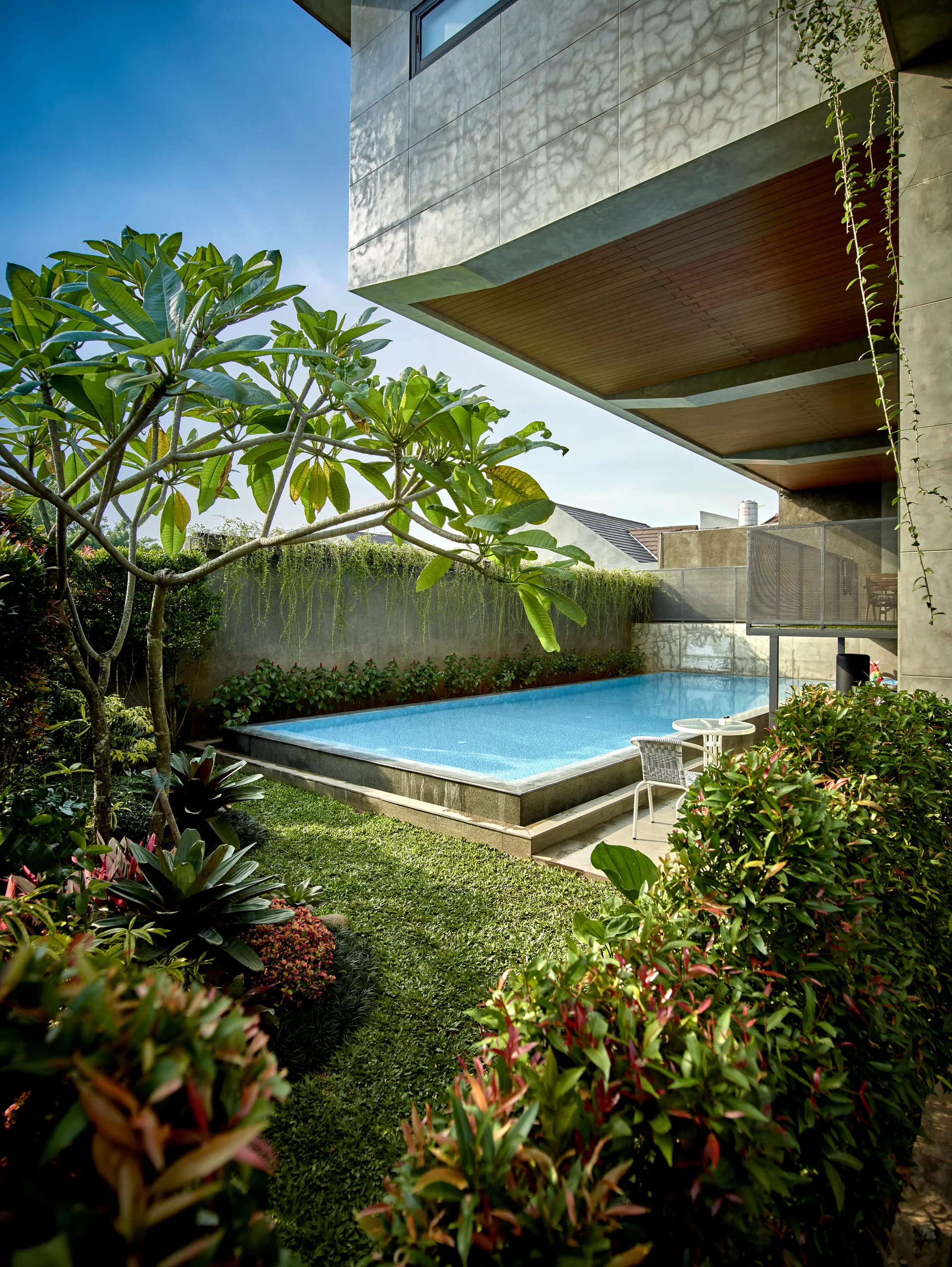 A rectangular swimming pool is nestled in a lush green backyard beneath a cantilevered concrete house with a wood-planked ceiling overhang.